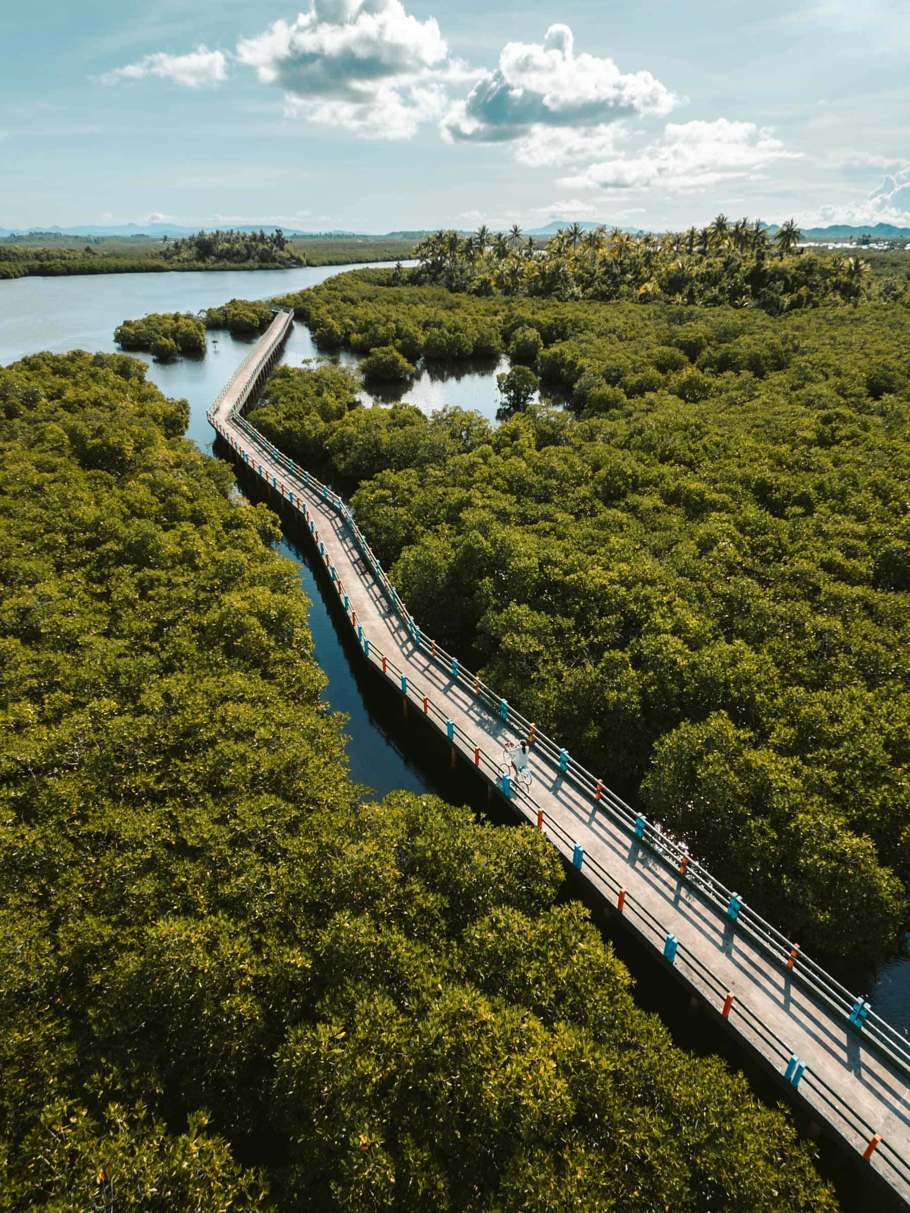 Del Carmen Mangrove Boardwalk aerial view