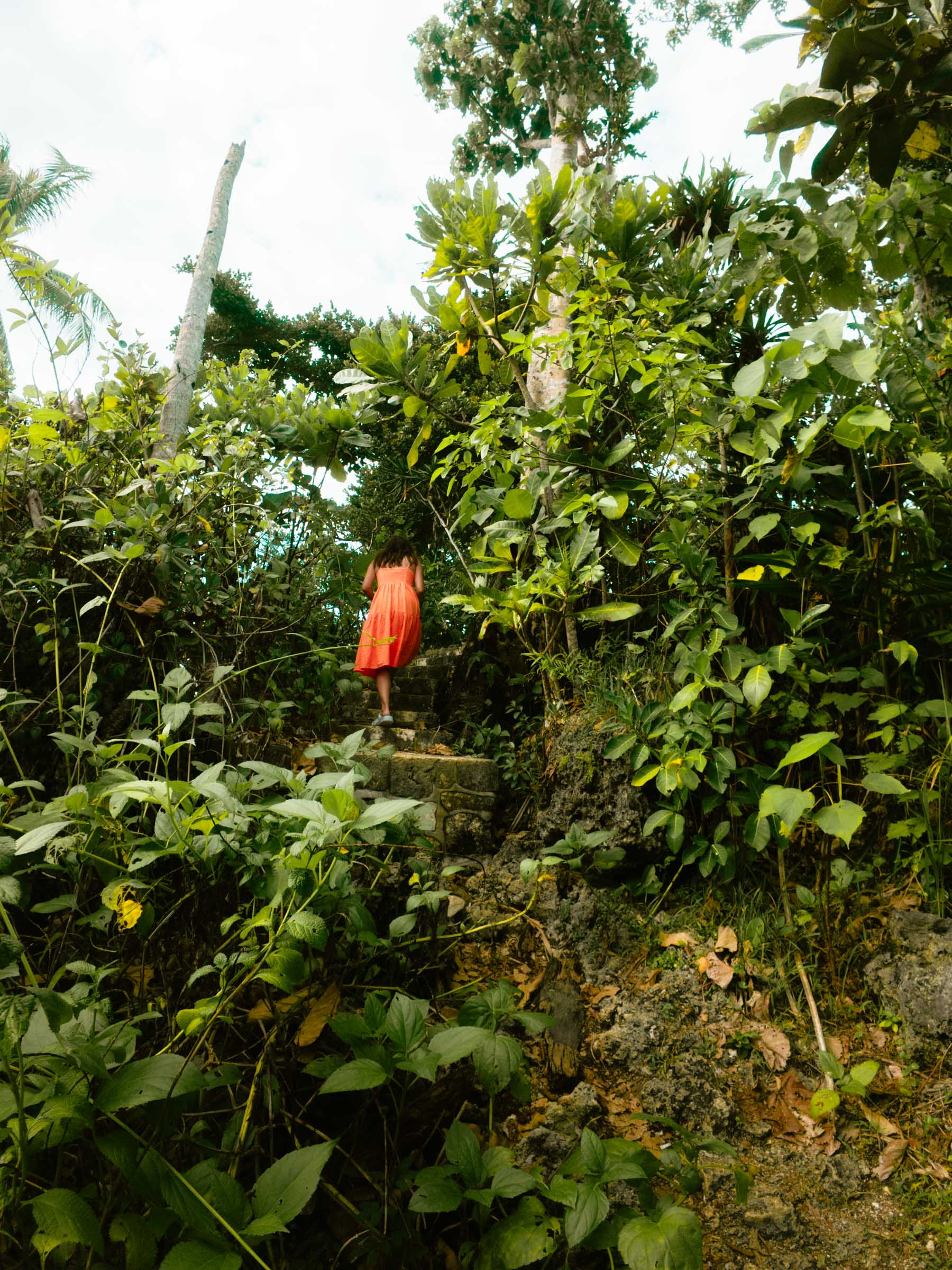 Trail to Stairs of Heaven Siargao