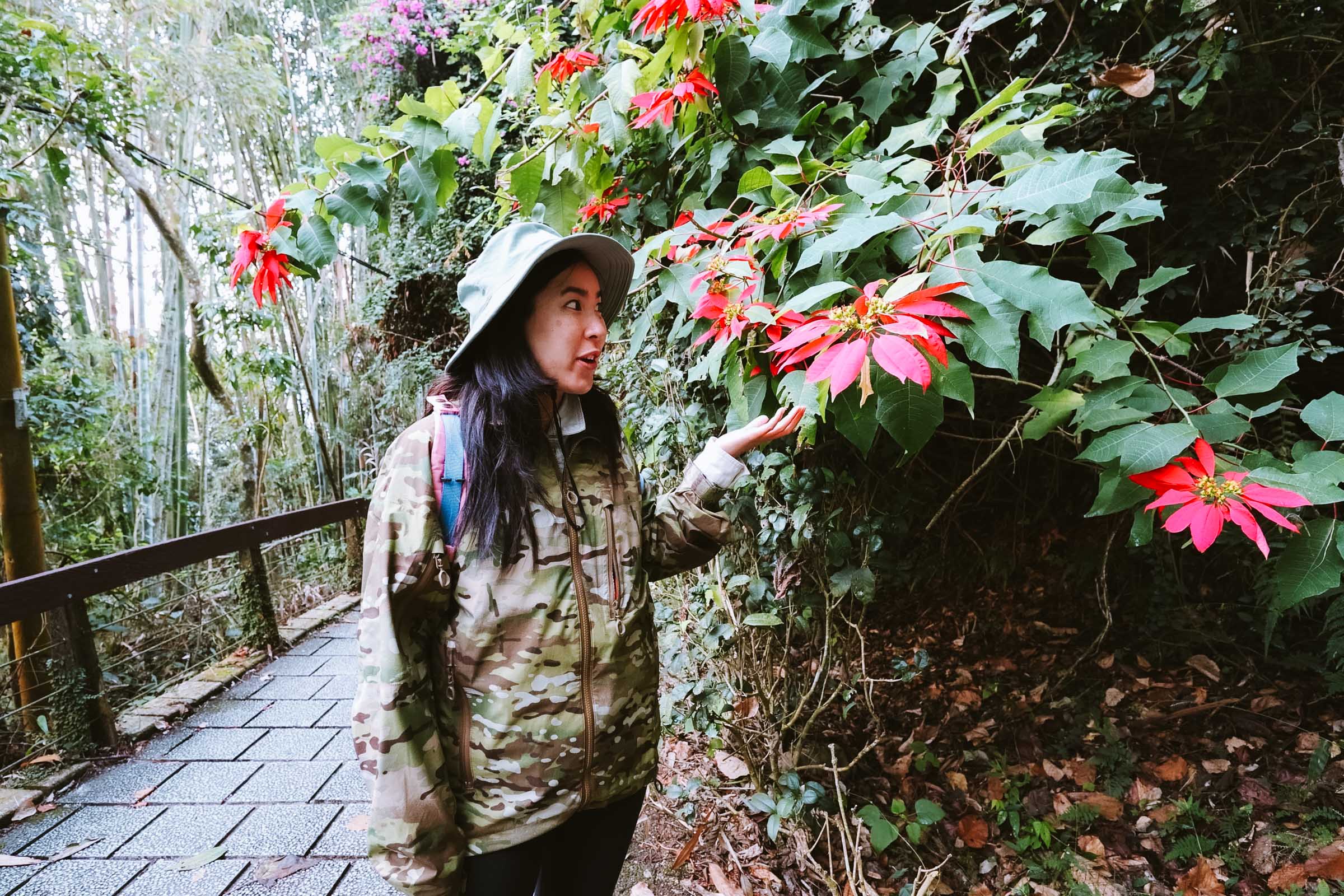 Red leaves at Ci'en Pagoda pathway