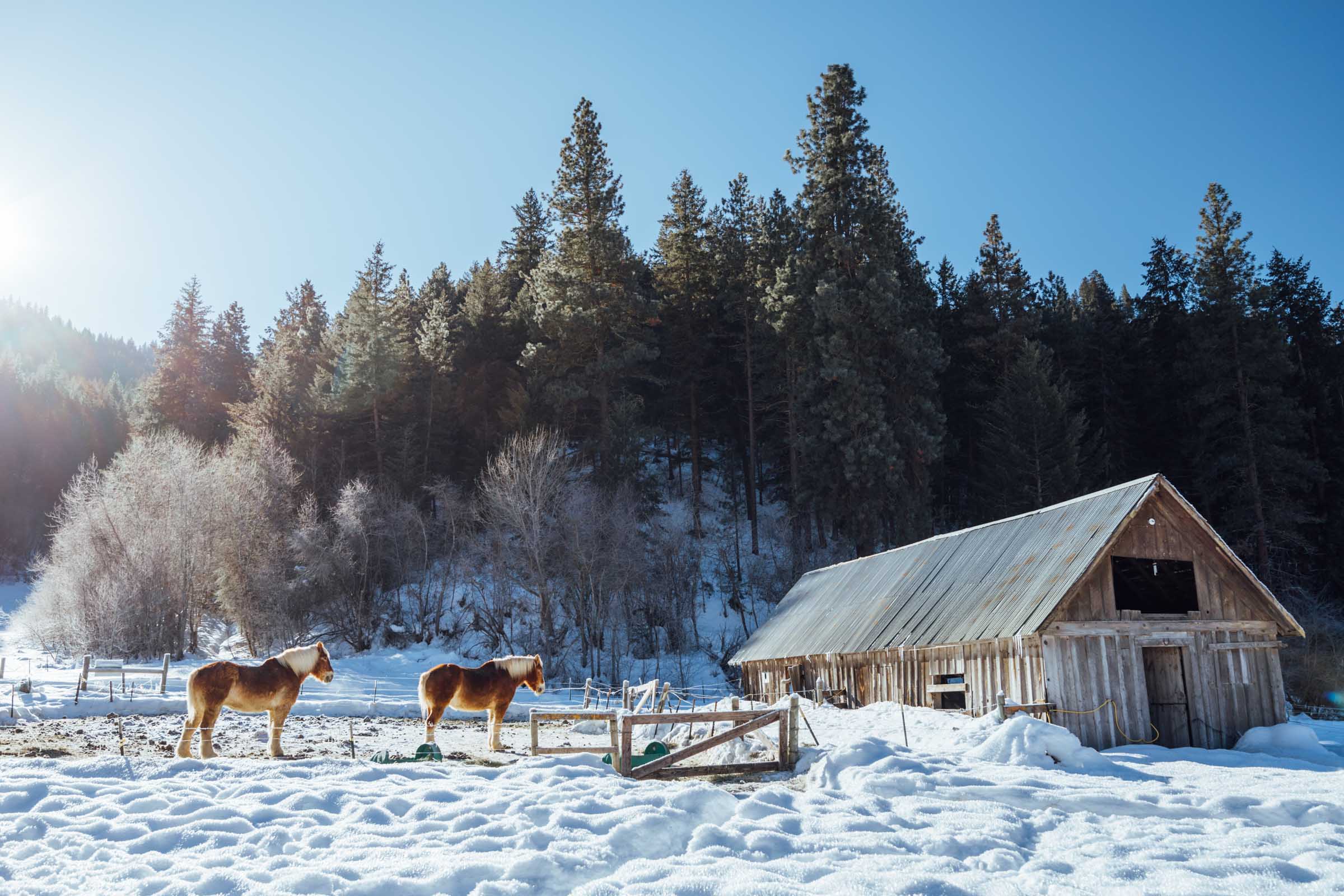 Eagle Creek Ranch Leavenworth Sleigh Rides