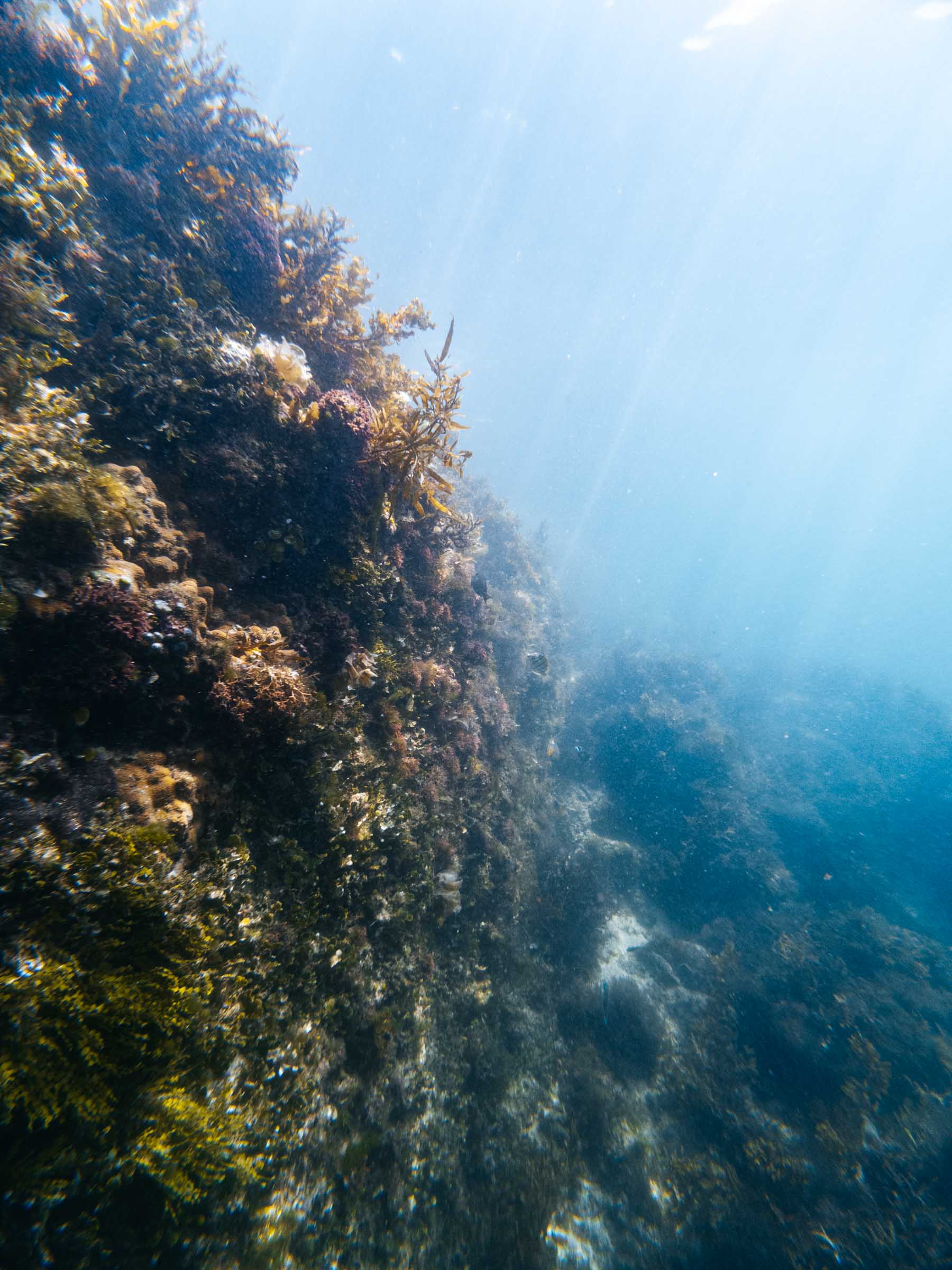 Magpupungko Rock Pool underwater