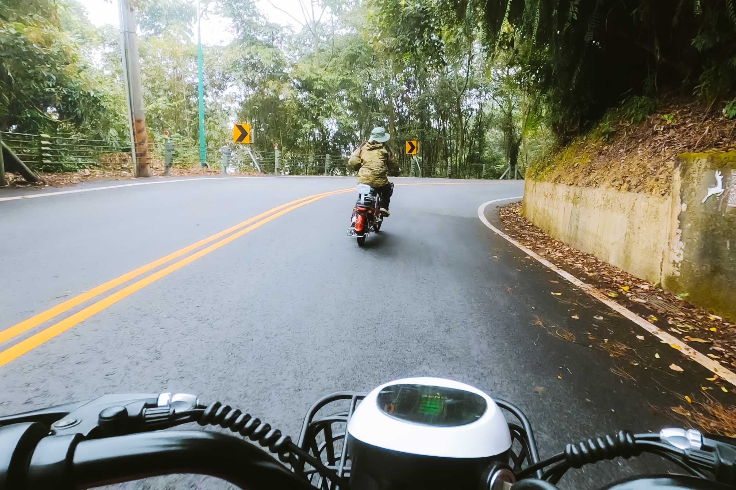 Sun Moon Lake cycling on road