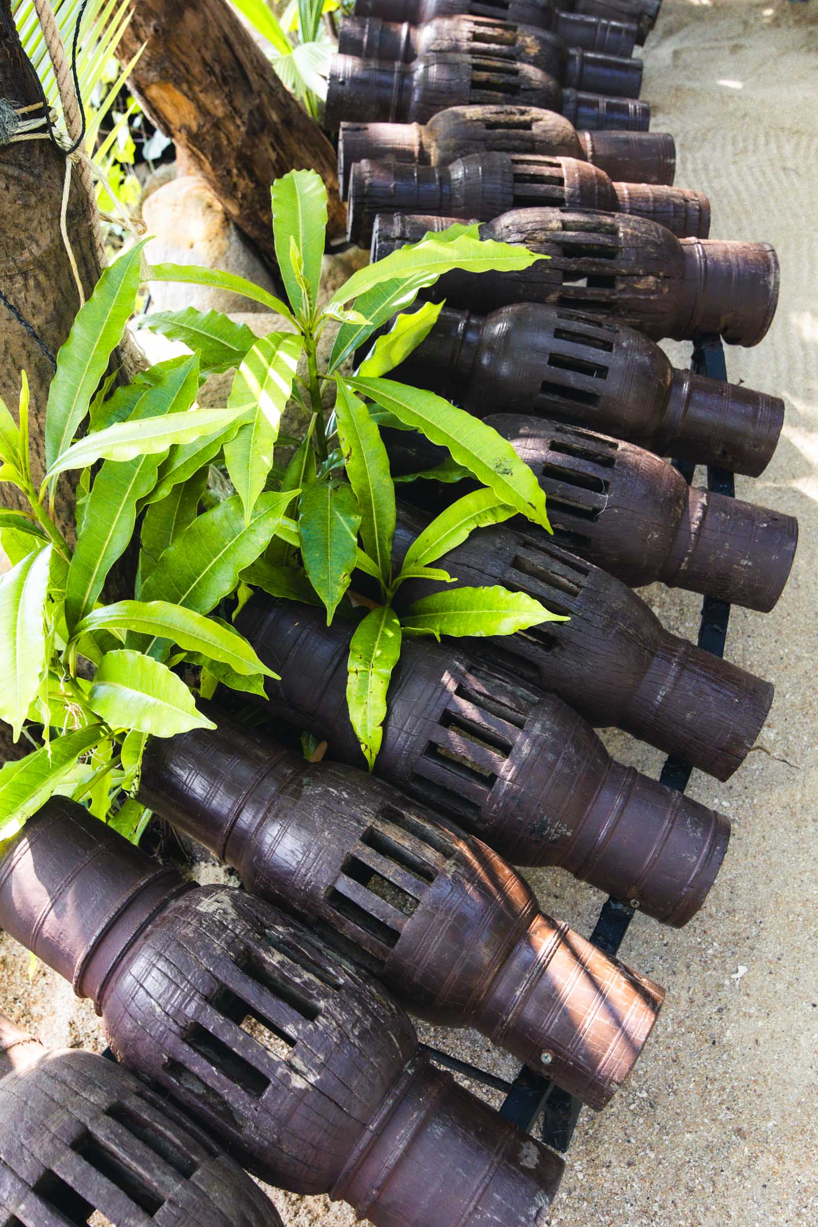 16 Incredible Things to Do in Koh Phangan: Complete Travel Guide 42 Debris at Koh Raham