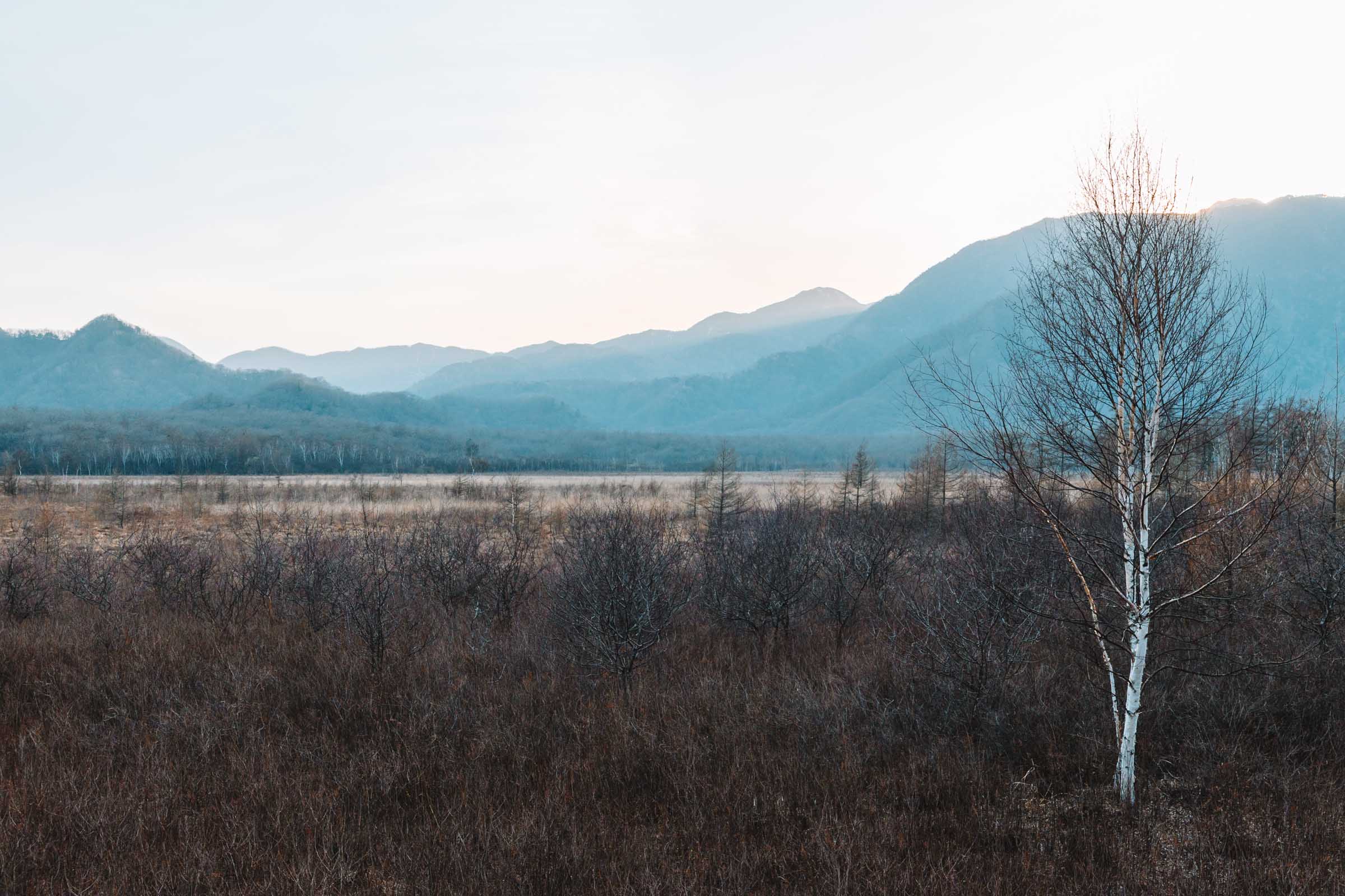 Senjogahara Marshland Nikko