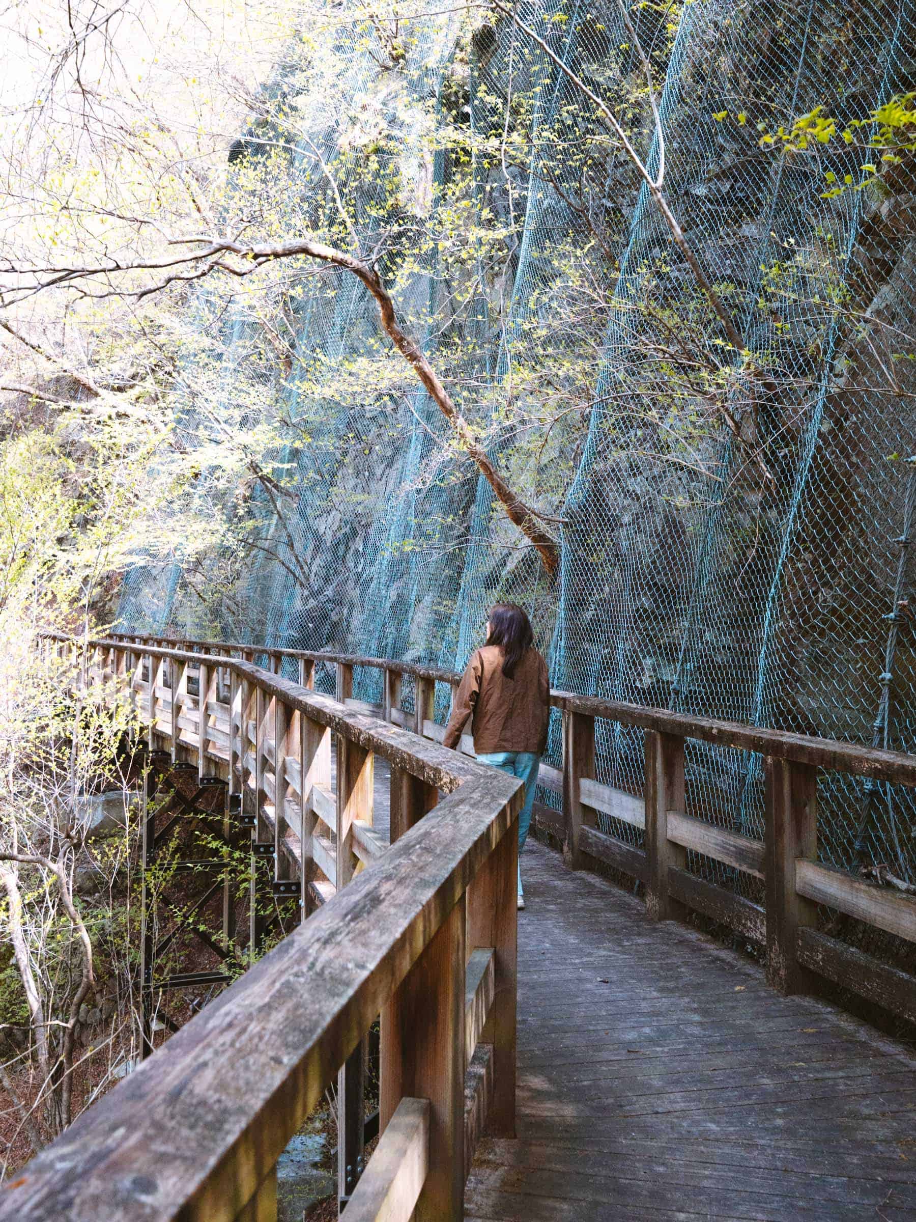Walkway to Urami Waterfall Nikko with rockfall fencing