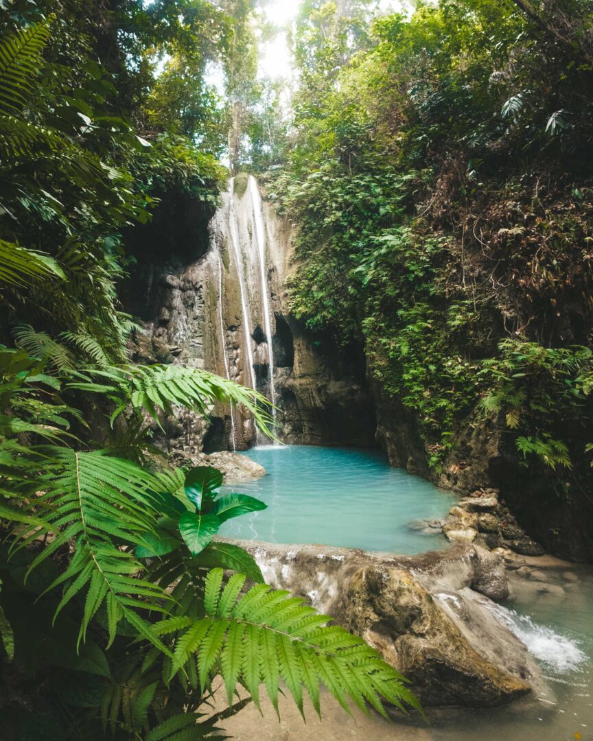 Binalayan Hidden Falls ferns