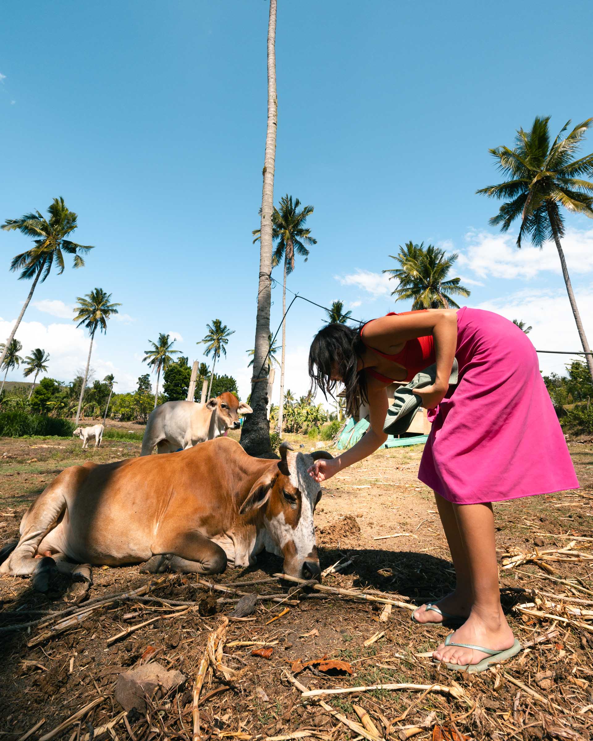 Chloe petting cow near Cambanog Falls Cebu