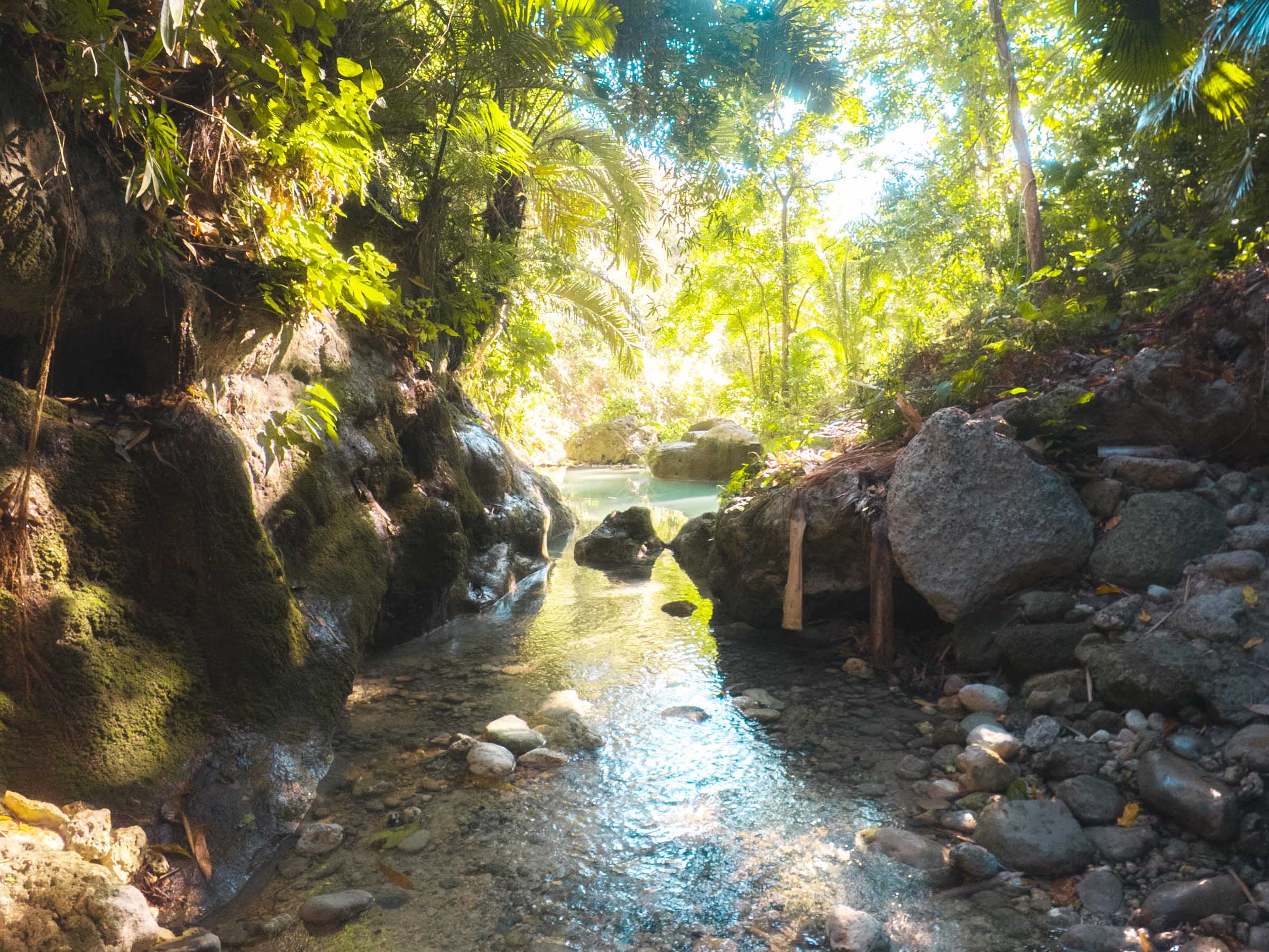 River at Dao Falls Cebu