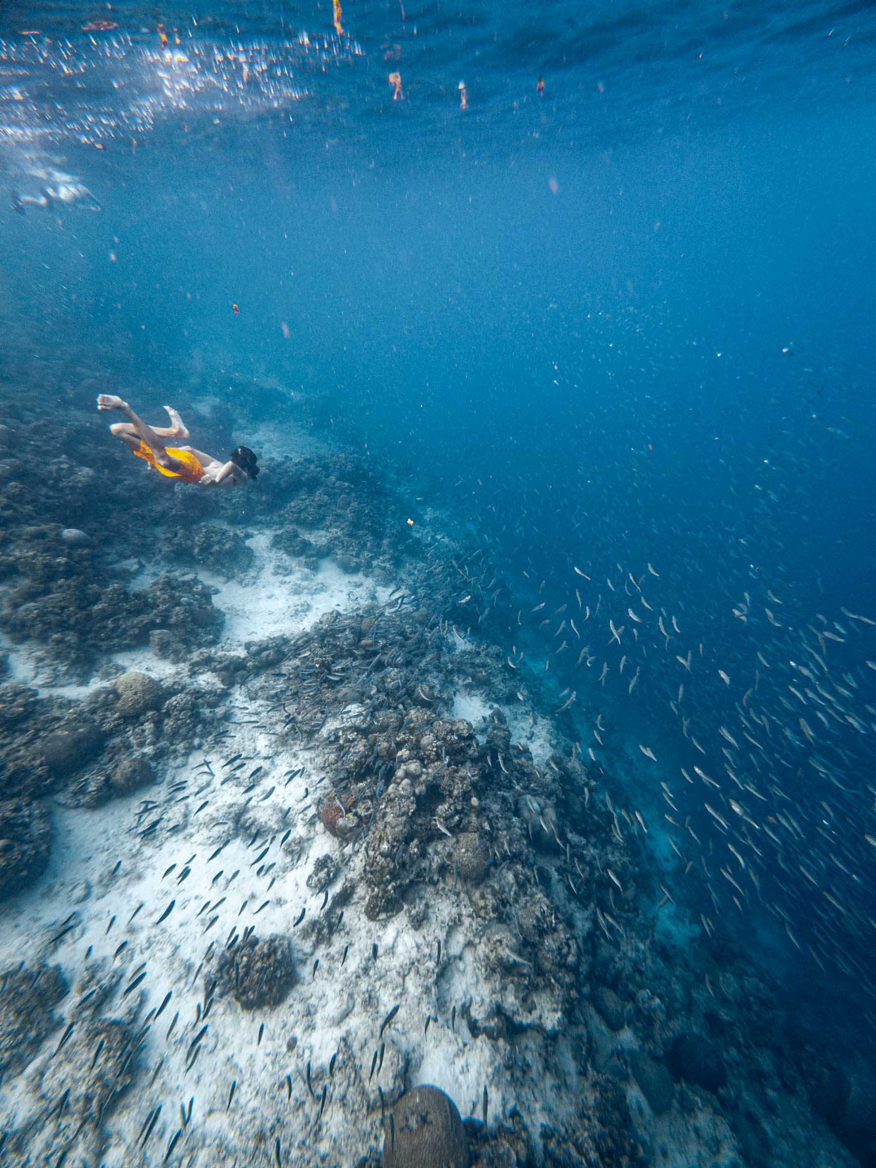 Trey snorkeling at Moalboal Sardine Run