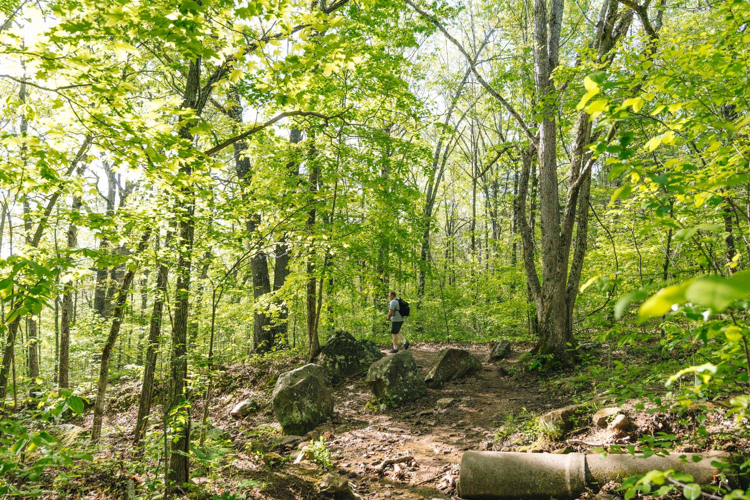 Halfway of Centerpoint Trail to Big Bluff