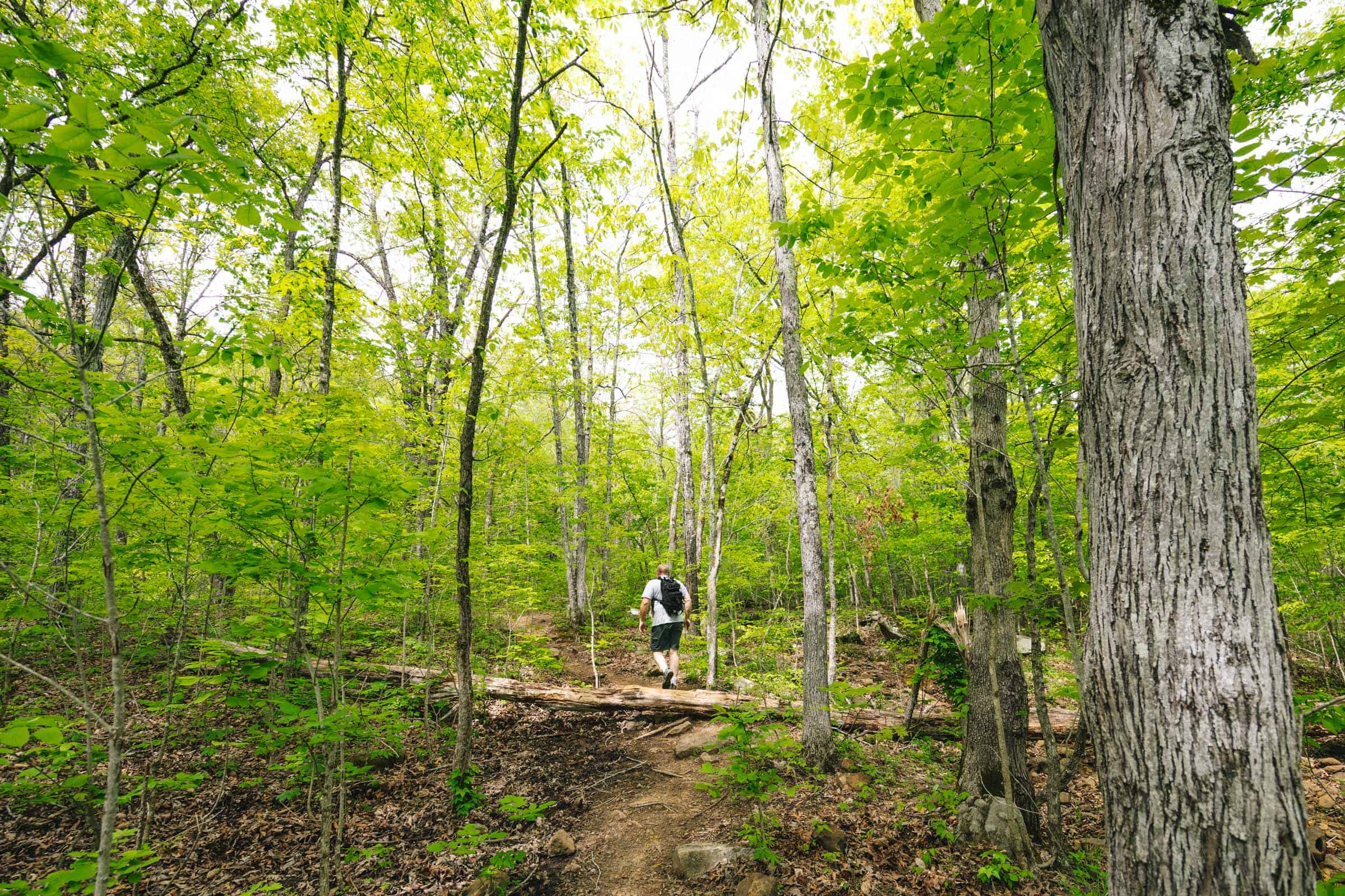 Centerpoint to Big Bluff Goat Trail Arkansas