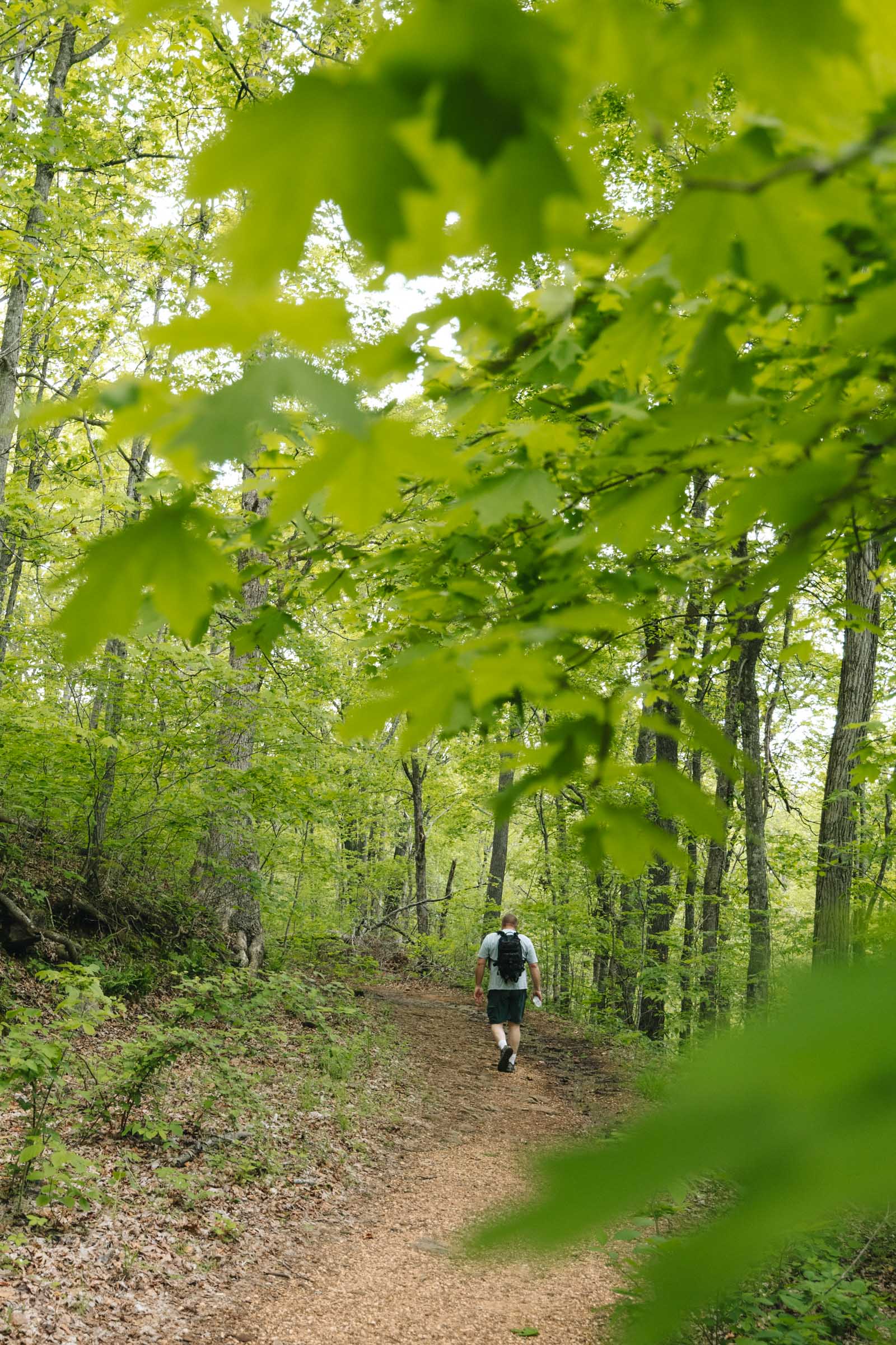 Centerpoint Trail Arkansas