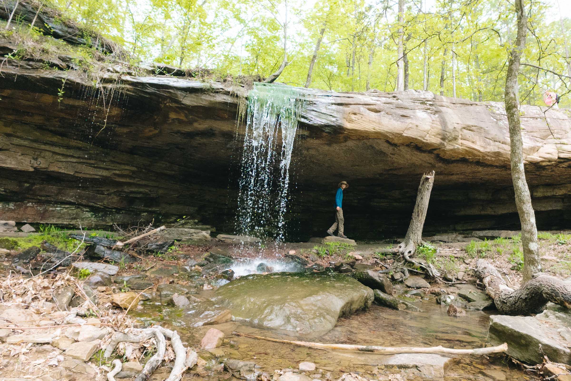 Whitaker Point Trail (Hawksbill Crag): Complete Hiking Guide 3 Haley Falls at Hawksbill Crag Arkansas