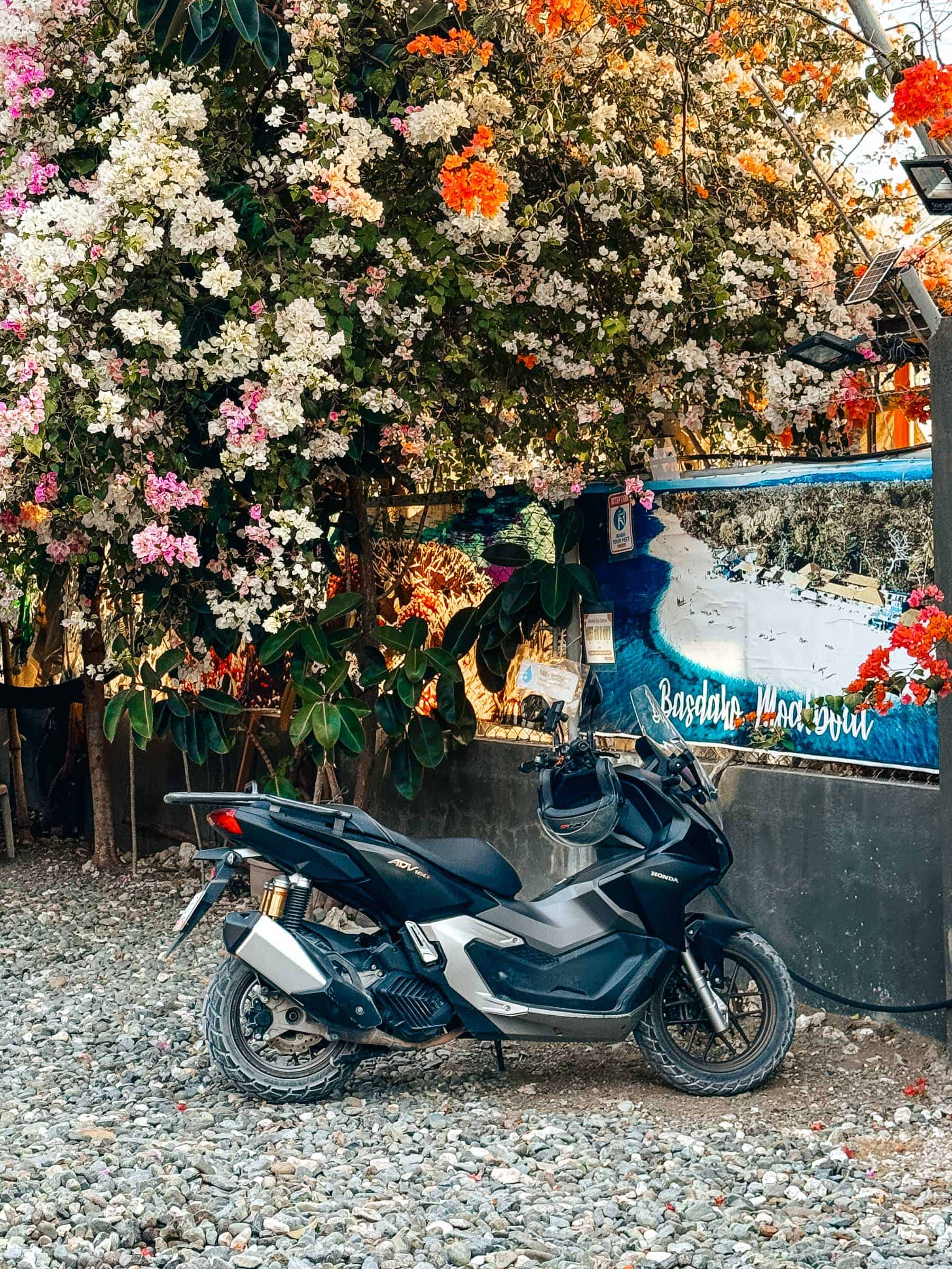 How to Rent a Motorbike in the Philippines: Complete Guide 4 Honda motorbike rental in Philippines