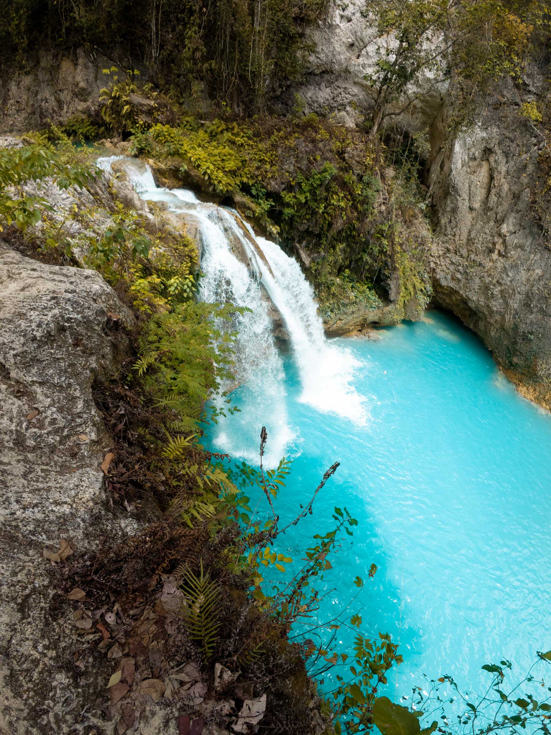 Kawasan Falls Canyoneering: Complete Guide 24 Kawasan Falls view from above