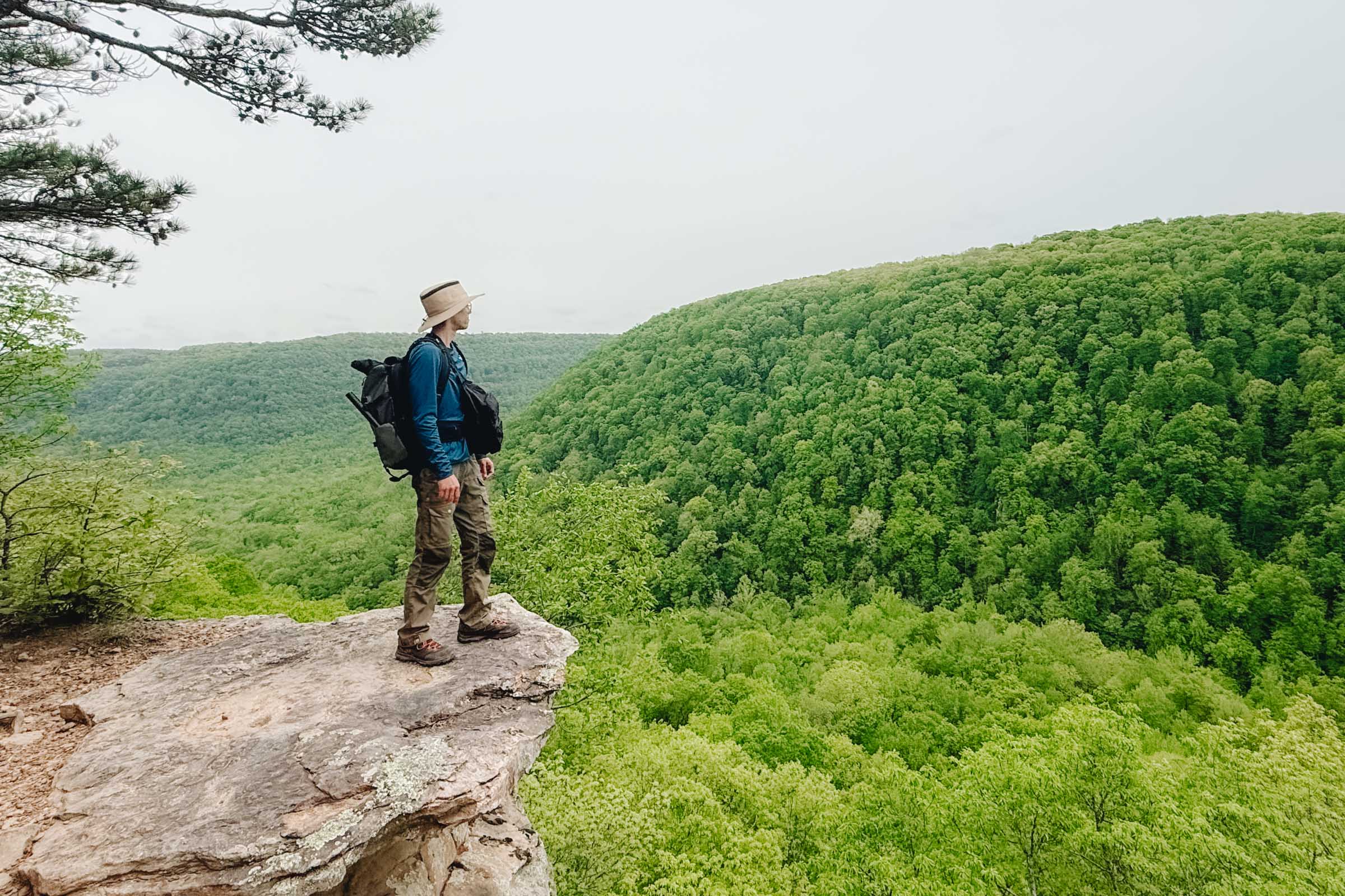 Whitaker Point Trail (Hawksbill Crag): Complete Hiking Guide 4 Rocky overlook at Whitaker Point Arkansas