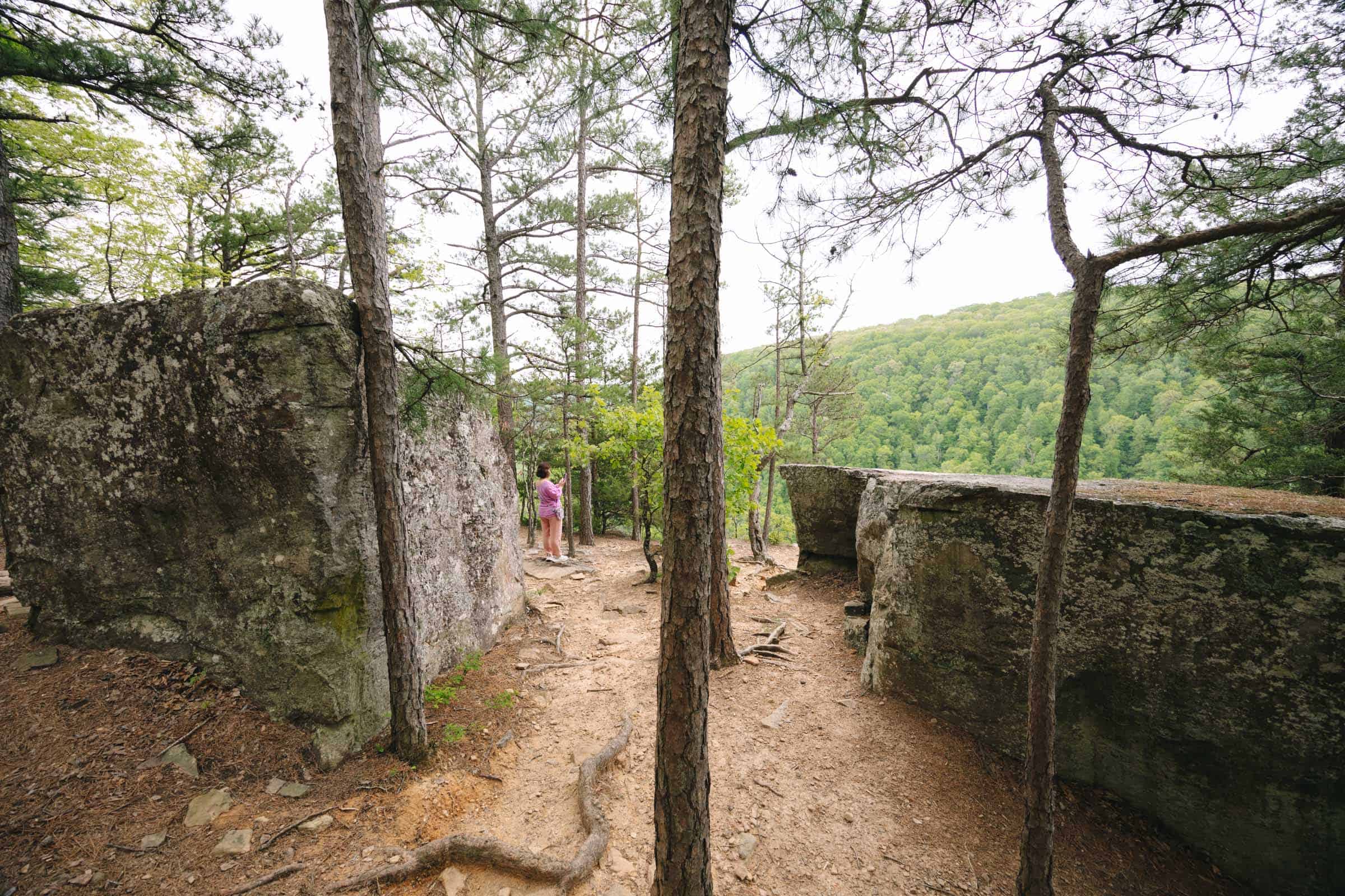 Whitaker Point Trail (Hawksbill Crag): Complete Hiking Guide 18 Flat boulders on cliff at Whitaker Point Arkansas