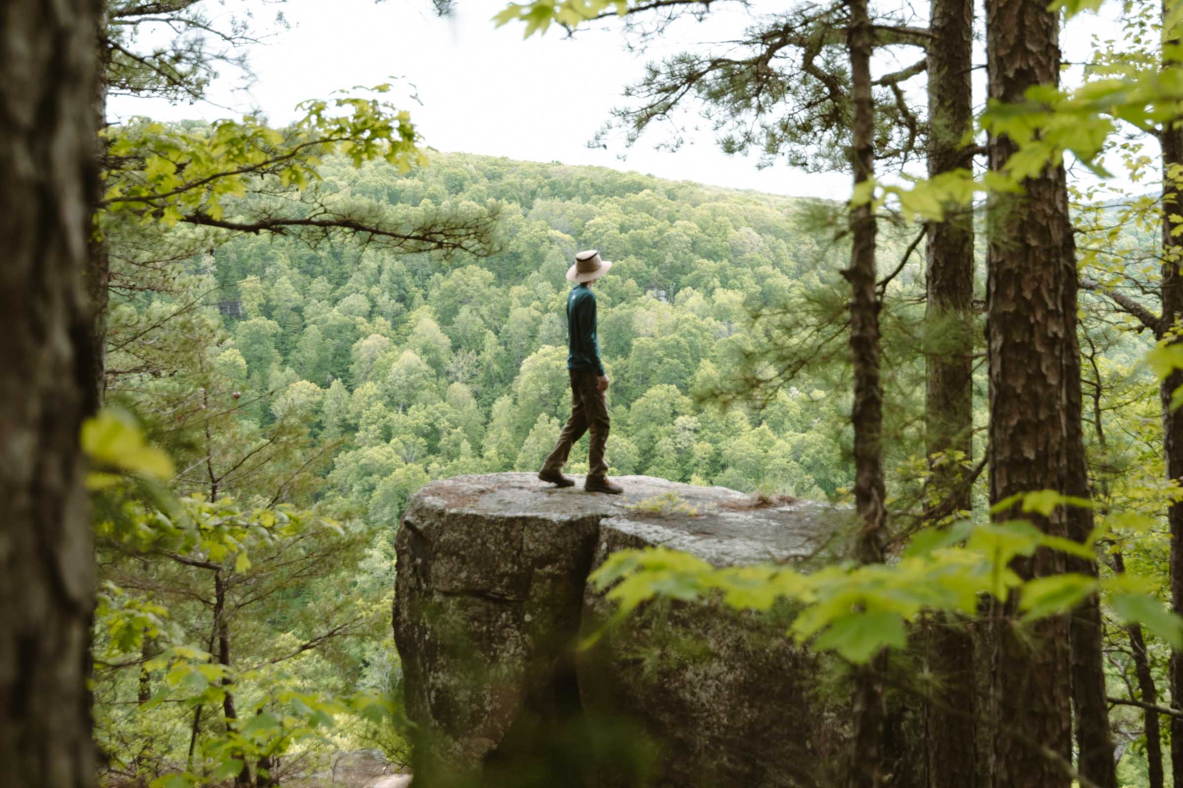 Whitaker Point Trail (Hawksbill Crag): Complete Hiking Guide 19 Flat rock at Whitaker Point Hawksbill Crag Trail