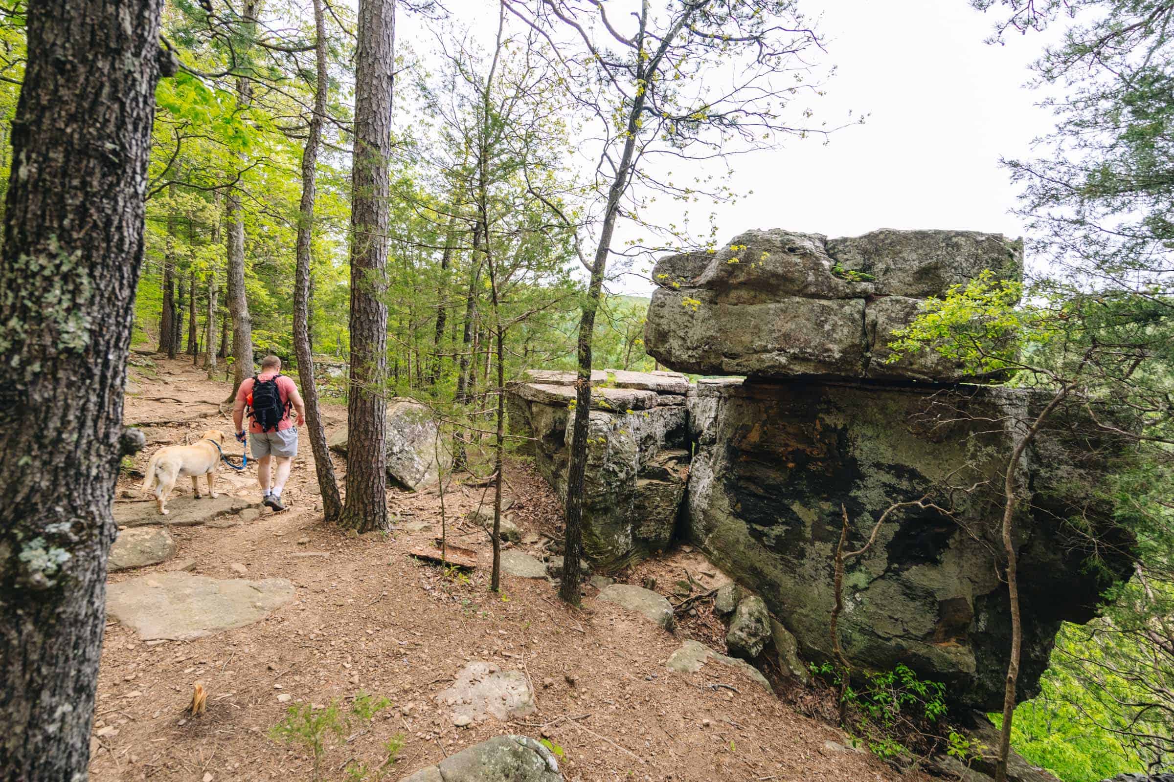 Whitaker Point Trail (Hawksbill Crag): Complete Hiking Guide 17 Flat rocks at Whitaker Point Trail