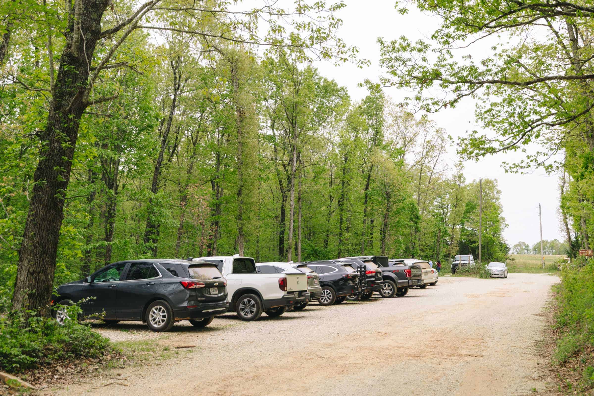Whitaker Point Trail (Hawksbill Crag): Complete Hiking Guide 9 Whitaker Point Hawksbill Crag hike parking area