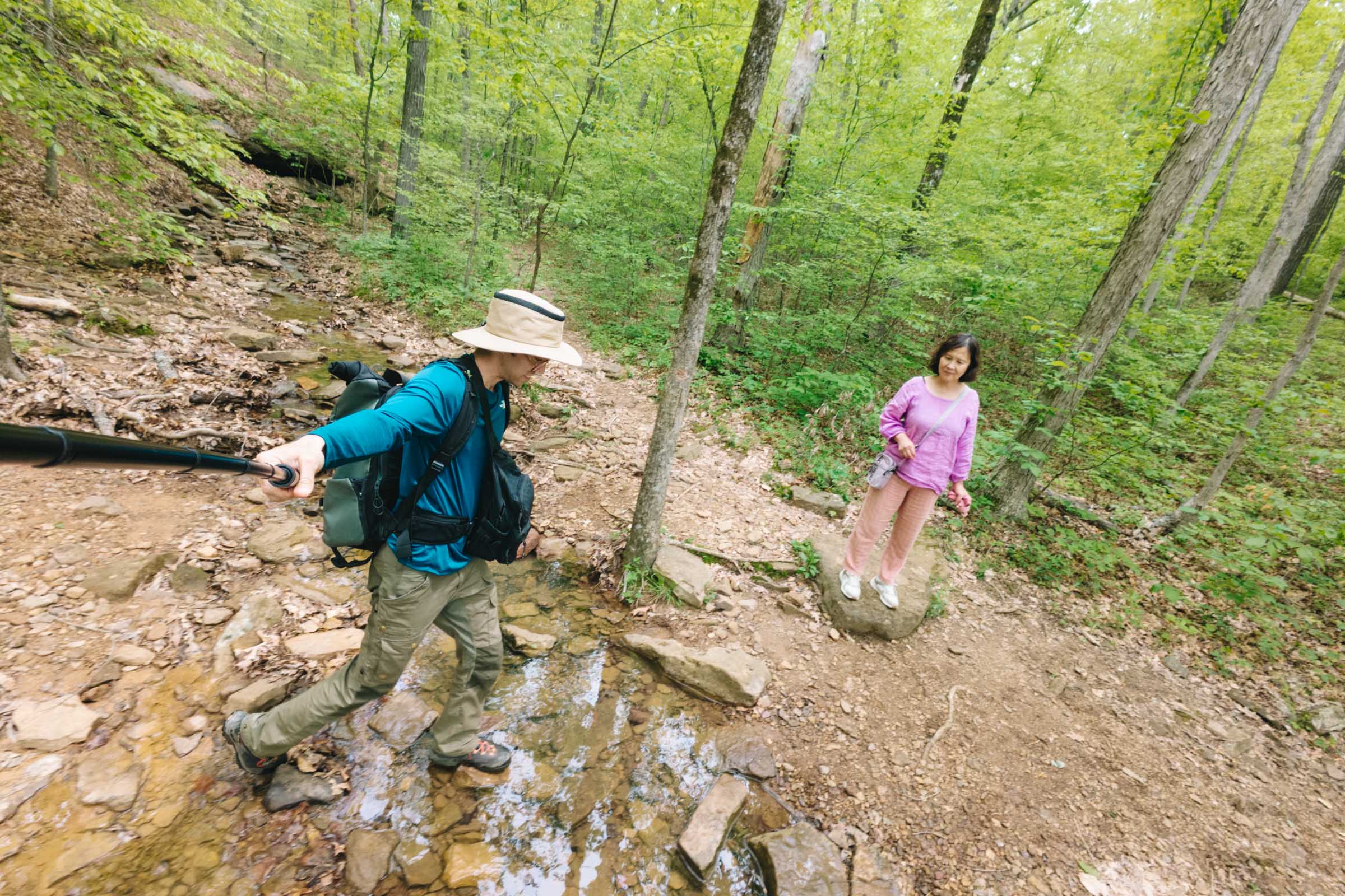 Whitaker Point Trail (Hawksbill Crag): Complete Hiking Guide 6 Stream crossing at Whitaker Point Trail