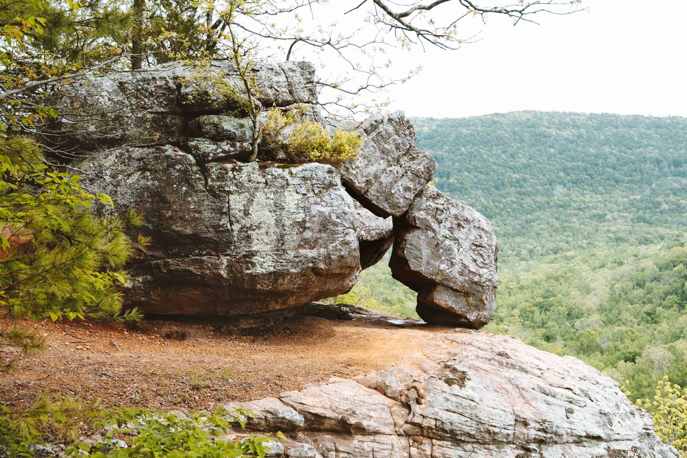Whitaker Point Trail (Hawksbill Crag): Complete Hiking Guide 22 Rock arch at Whitaker Point