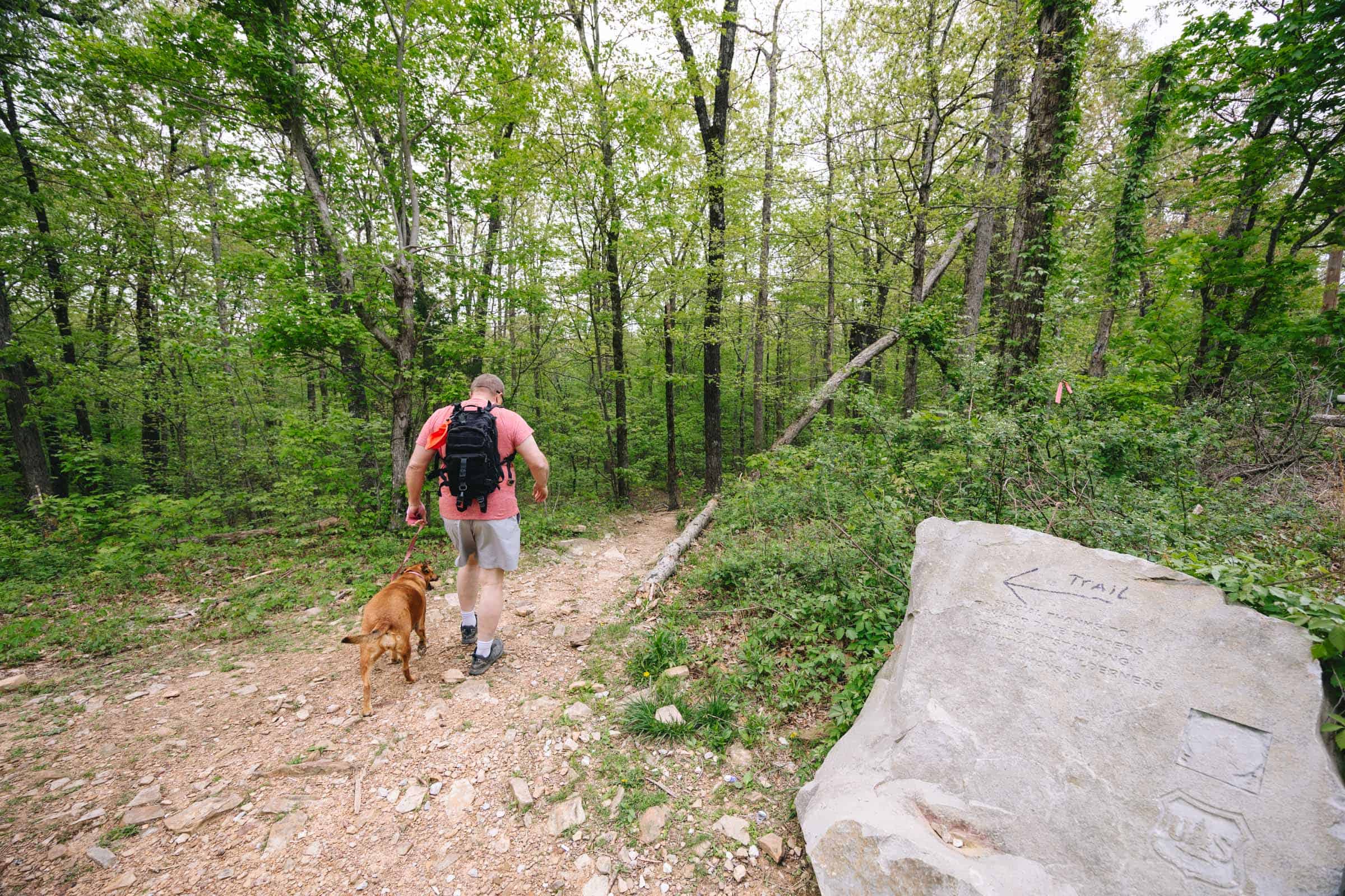 Whitaker Point Trail (Hawksbill Crag): Complete Hiking Guide 10 Whitaker Point Trail entrance