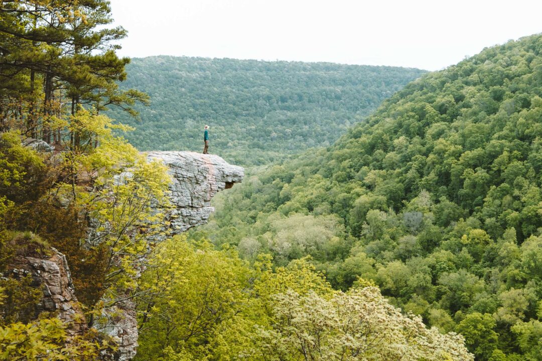 Whitaker Point Hawksbill crag panoramic viewpoint