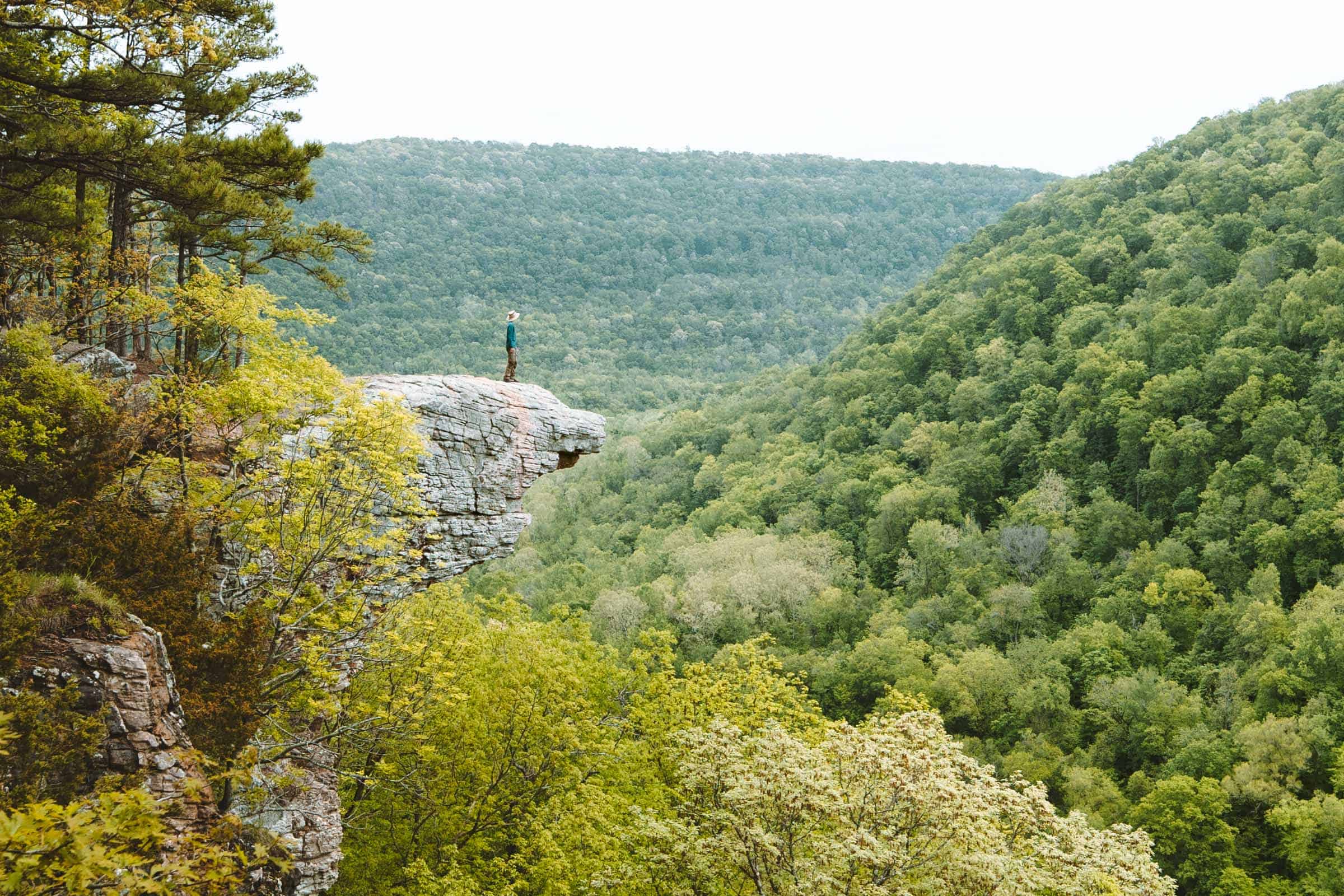 Whitaker Point Hawksbill crag panoramic viewpoint