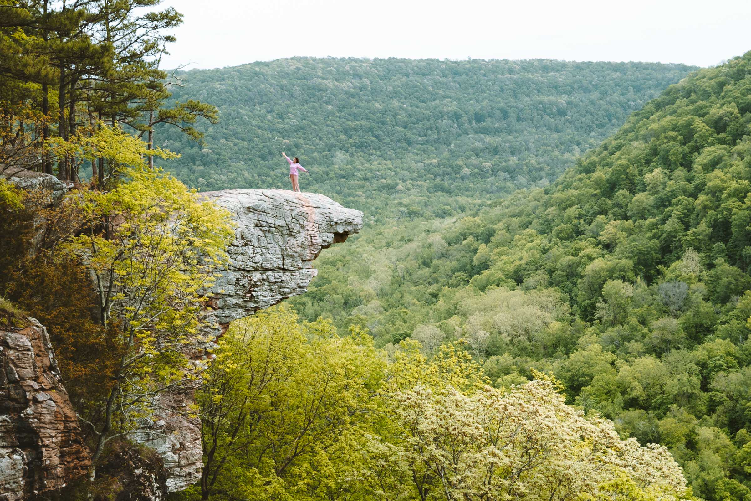 Whitaker Point Trail (Hawksbill Crag): Complete Hiking Guide 20 Whitaker Point rock viewpoint