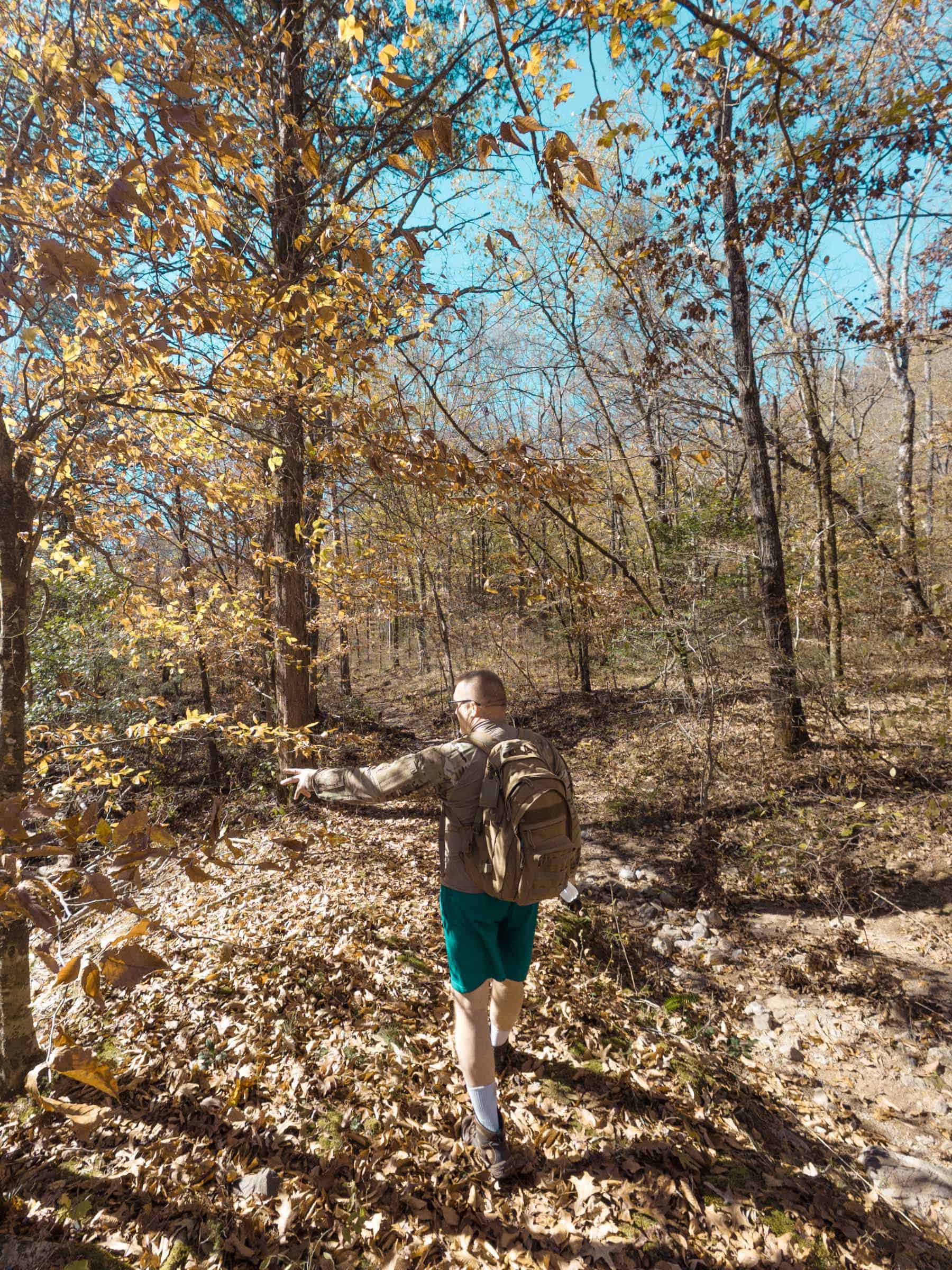 Autumn trail to Winding Stairs Arkansas