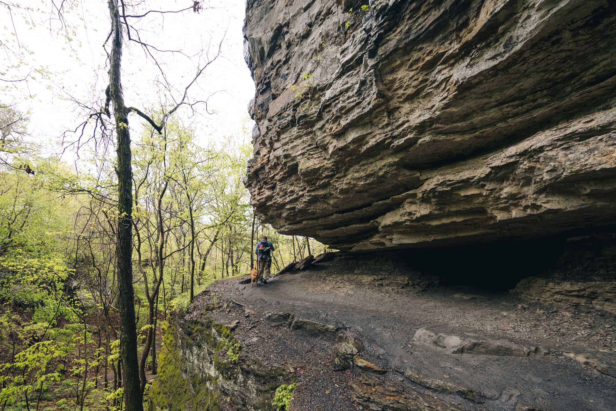 Bluff at Yellow Rock Trail Arkansas