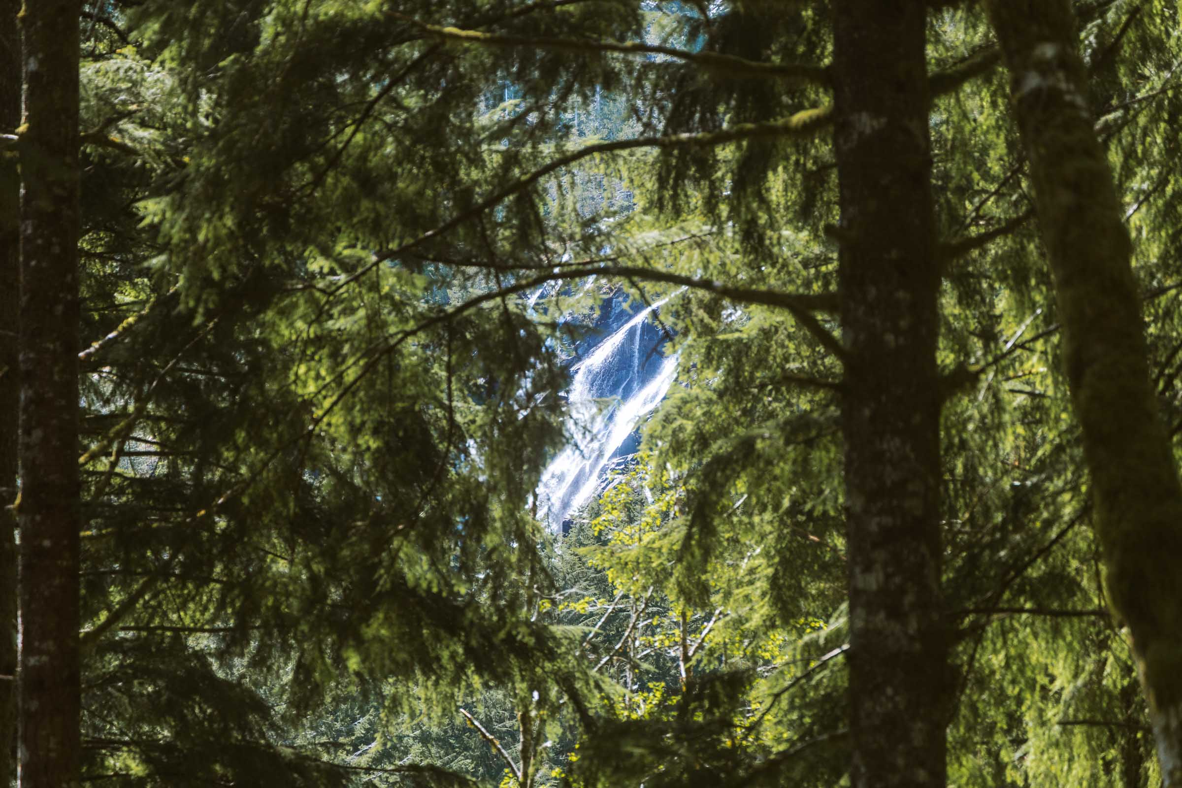 Bridal Veil Falls through the forest canopy