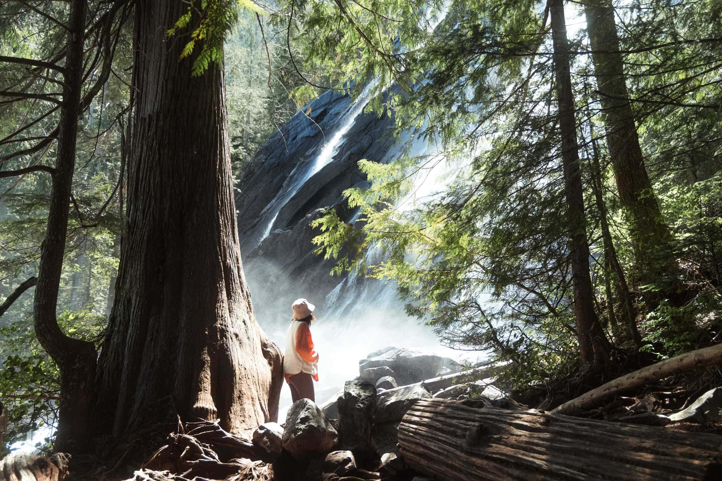 Bridal Veil Falls through the forest trees
