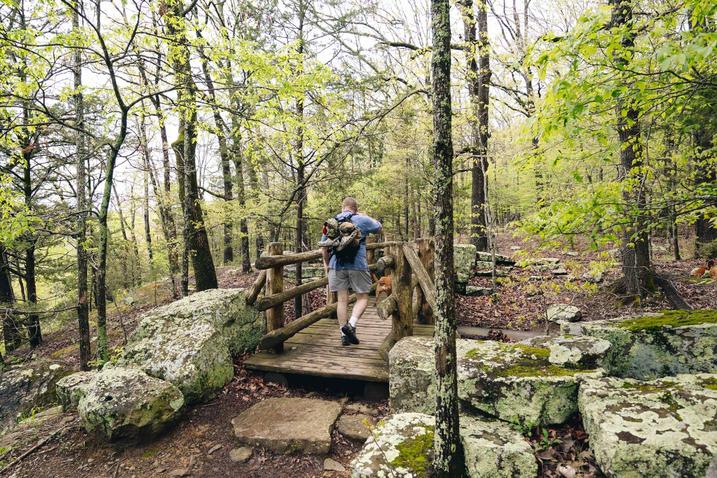 Bridge at Yellow Rock Trail from CCC Overlook Shelter