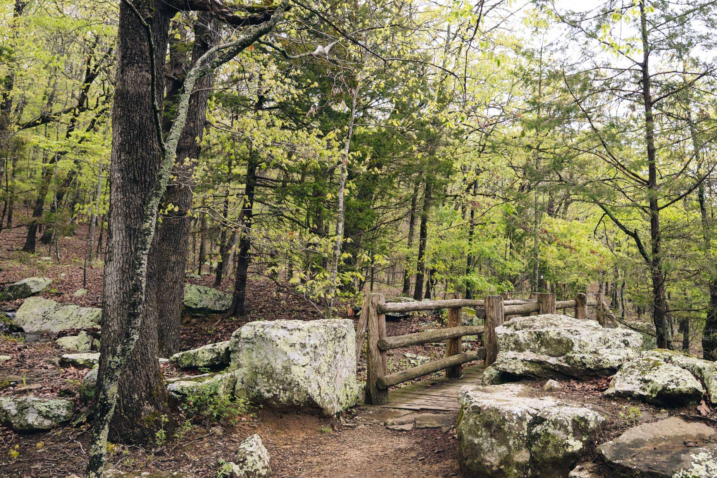 Bridge on Yellow Rock Trail