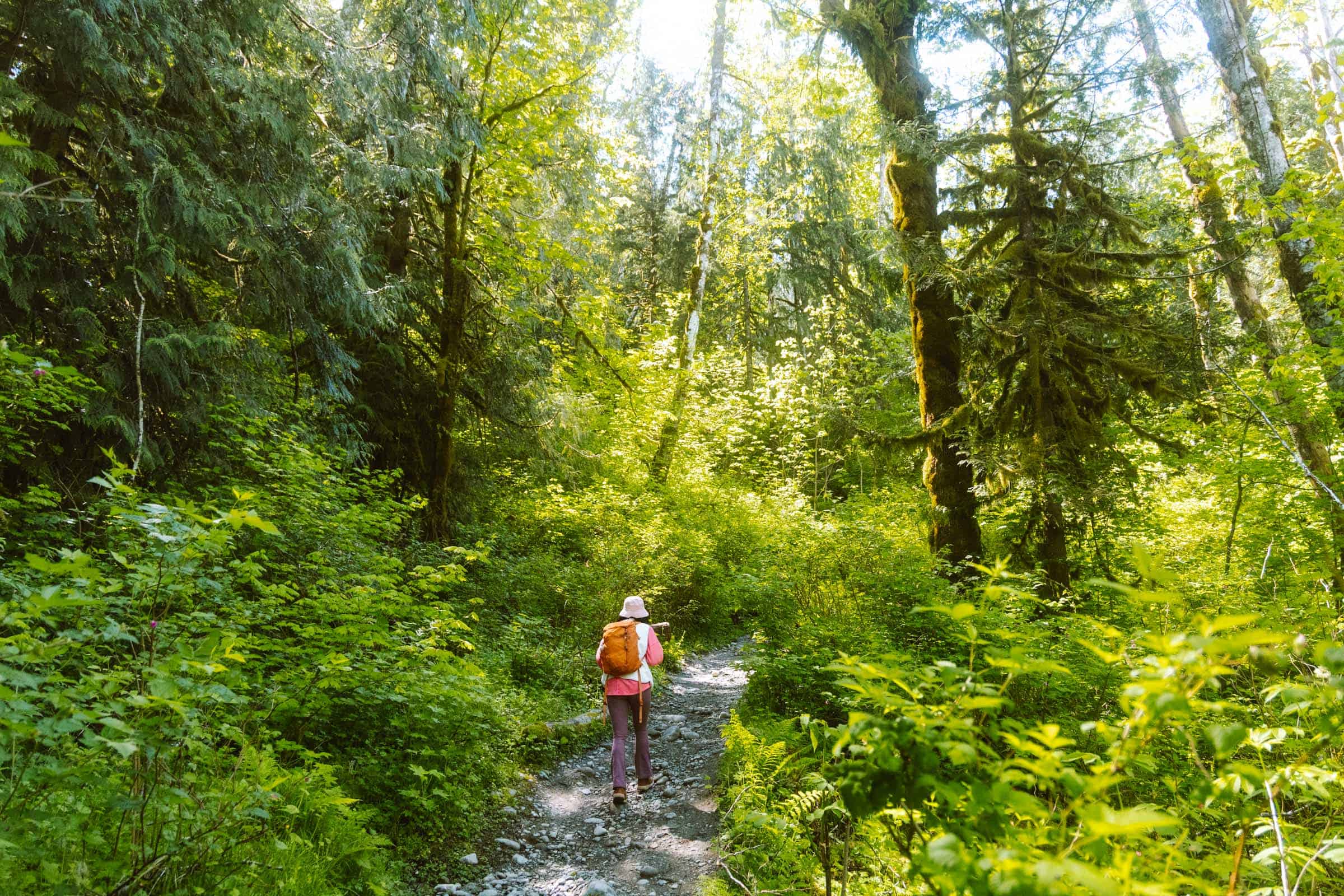Brush trail to Bridal Veil Falls