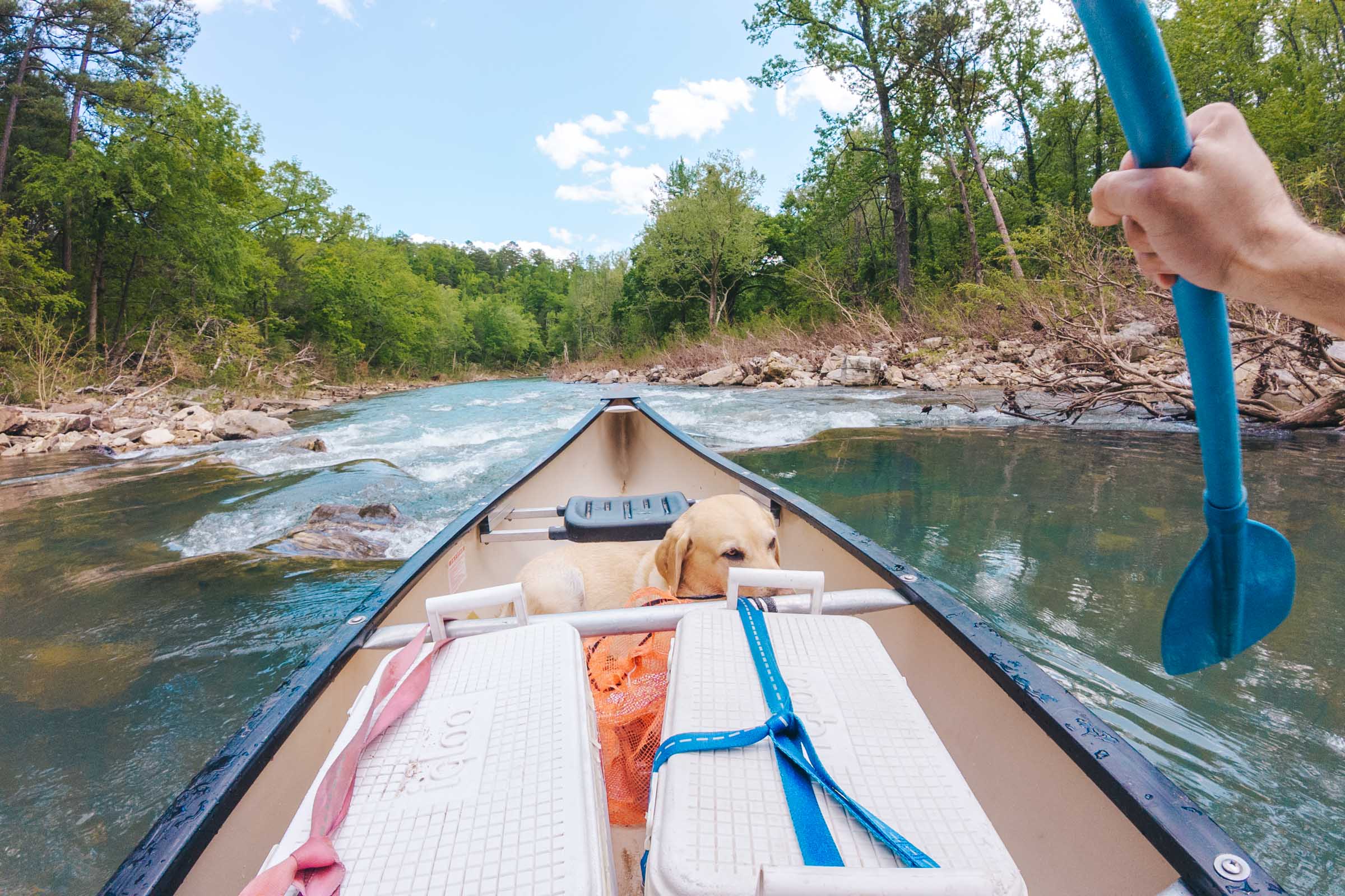 How to Float the Buffalo River in Arkansas: Complete Guide 15 Buffalo River rapids