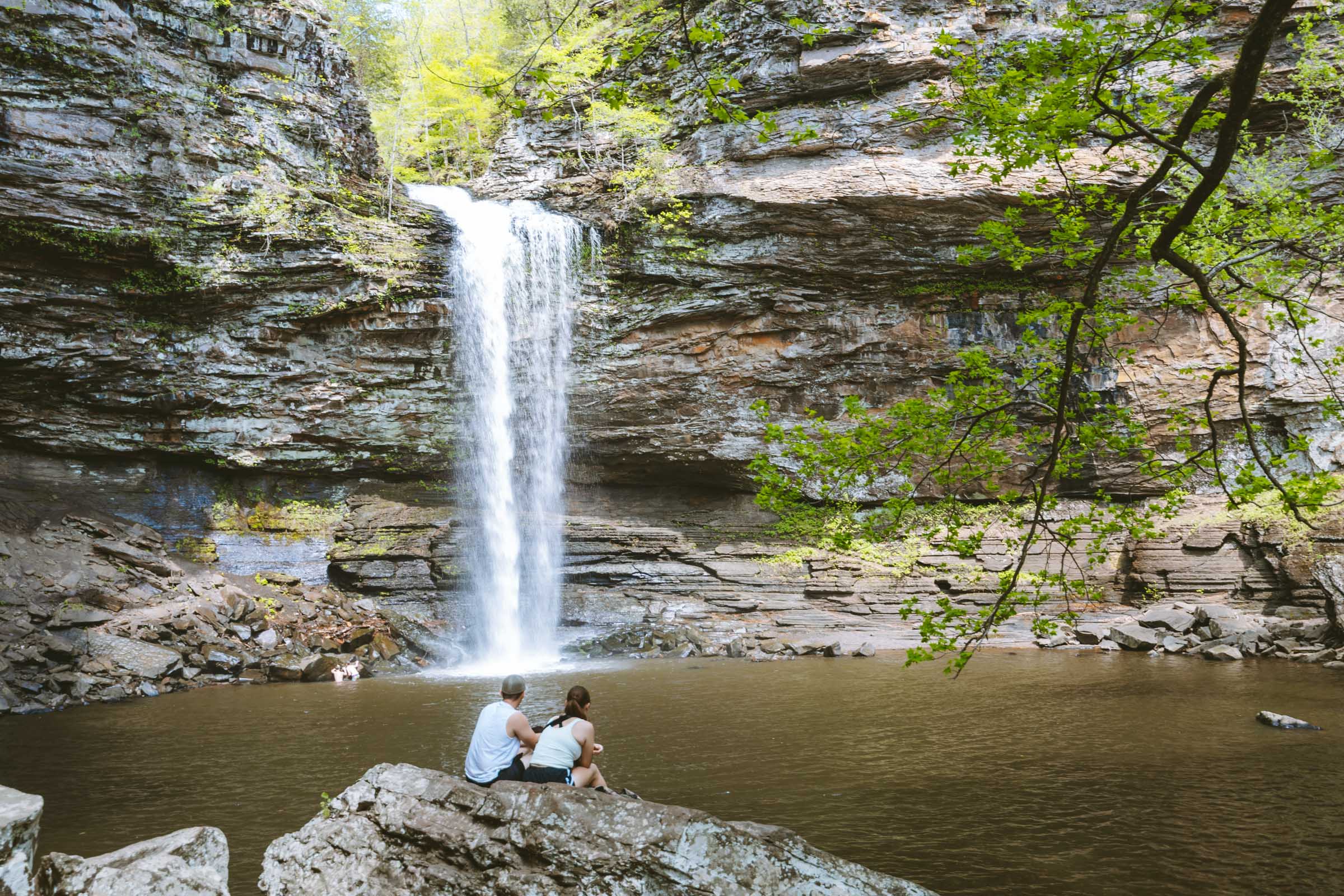 Cedar Falls Trail in Arkansas: Complete Hiking Guide 25 Cedar Falls in Arkansas