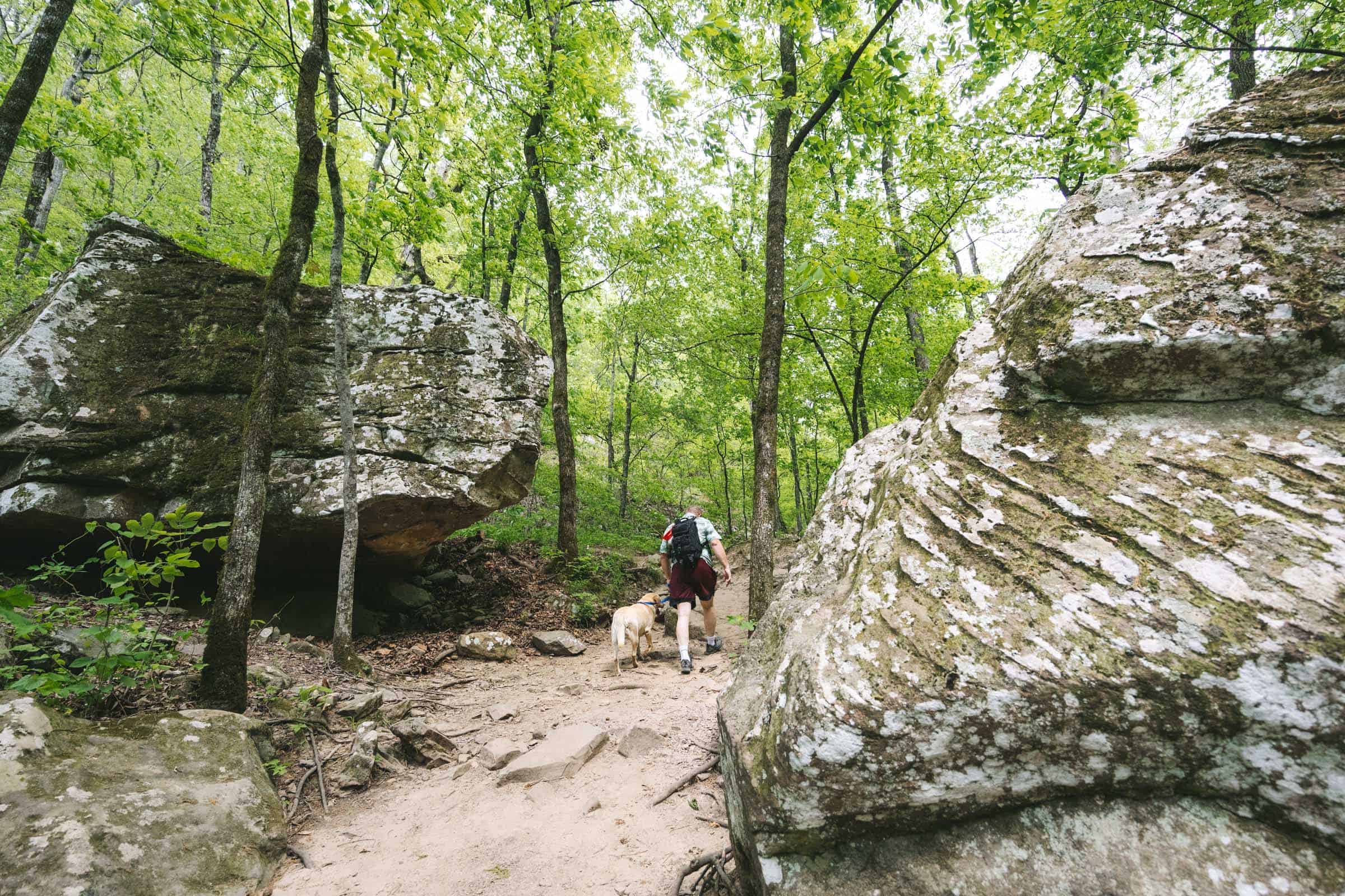 Cedar Falls Trail in Arkansas: Complete Hiking Guide 14 Giant boulders in Cedar Canyon Petit Jean State Park