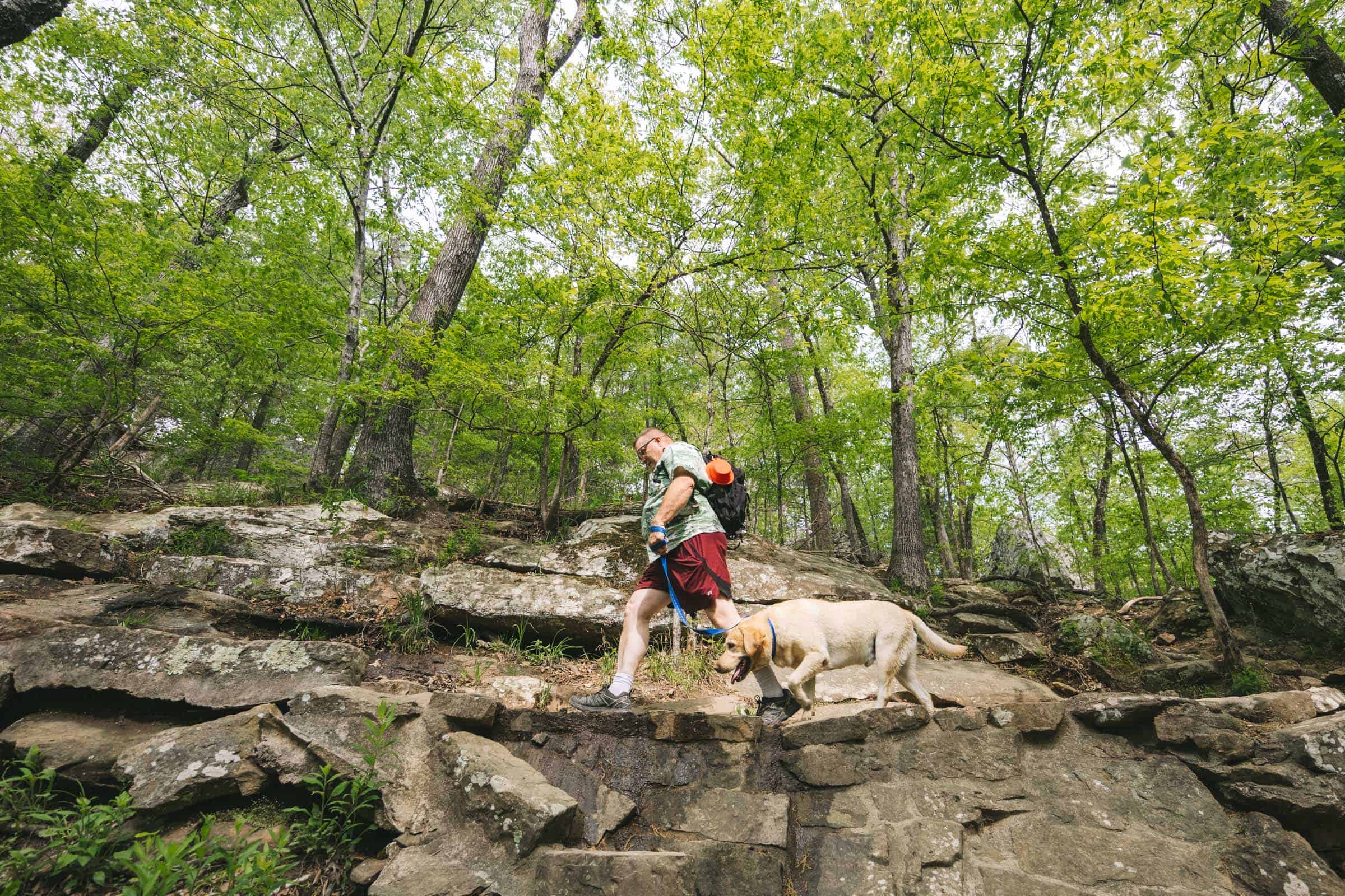 Cedar Falls Trail in Arkansas: Complete Hiking Guide 3 Cedar Falls Trail with dog