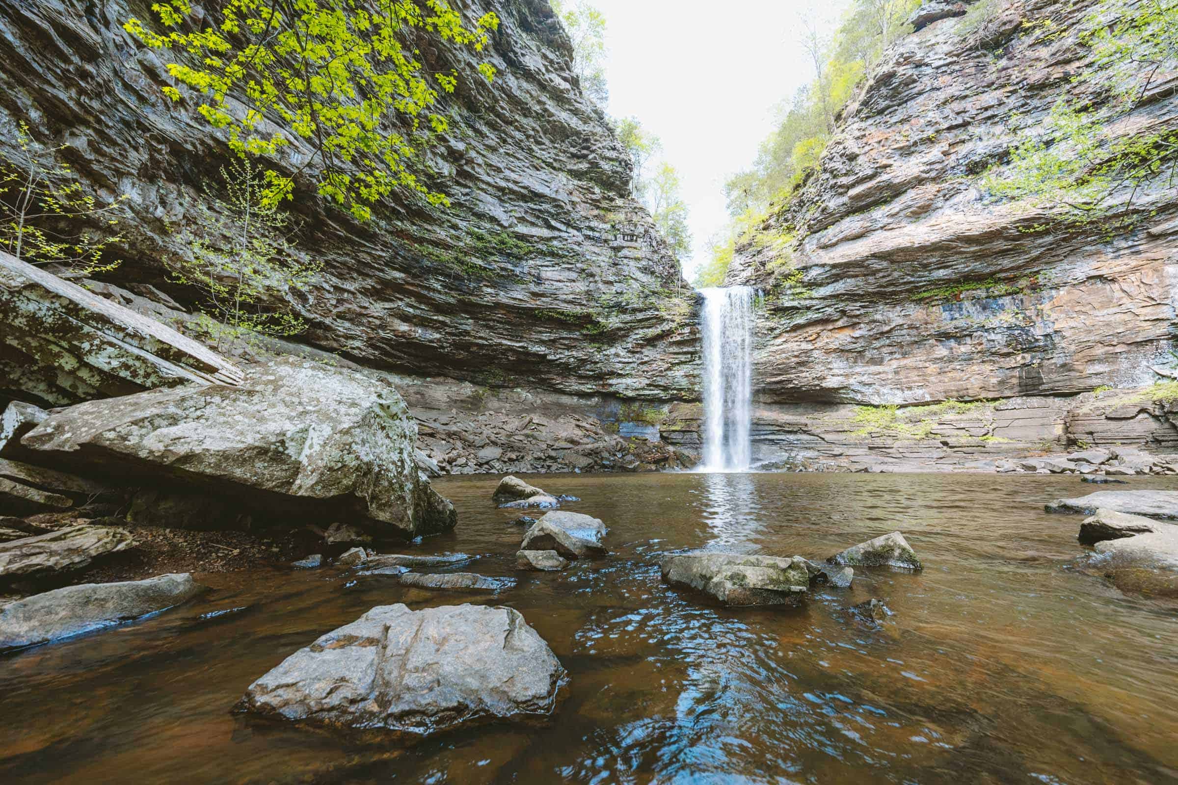 Cedar Falls Trail in Arkansas: Complete Hiking Guide 4 Cedar Falls landscape Arkansas