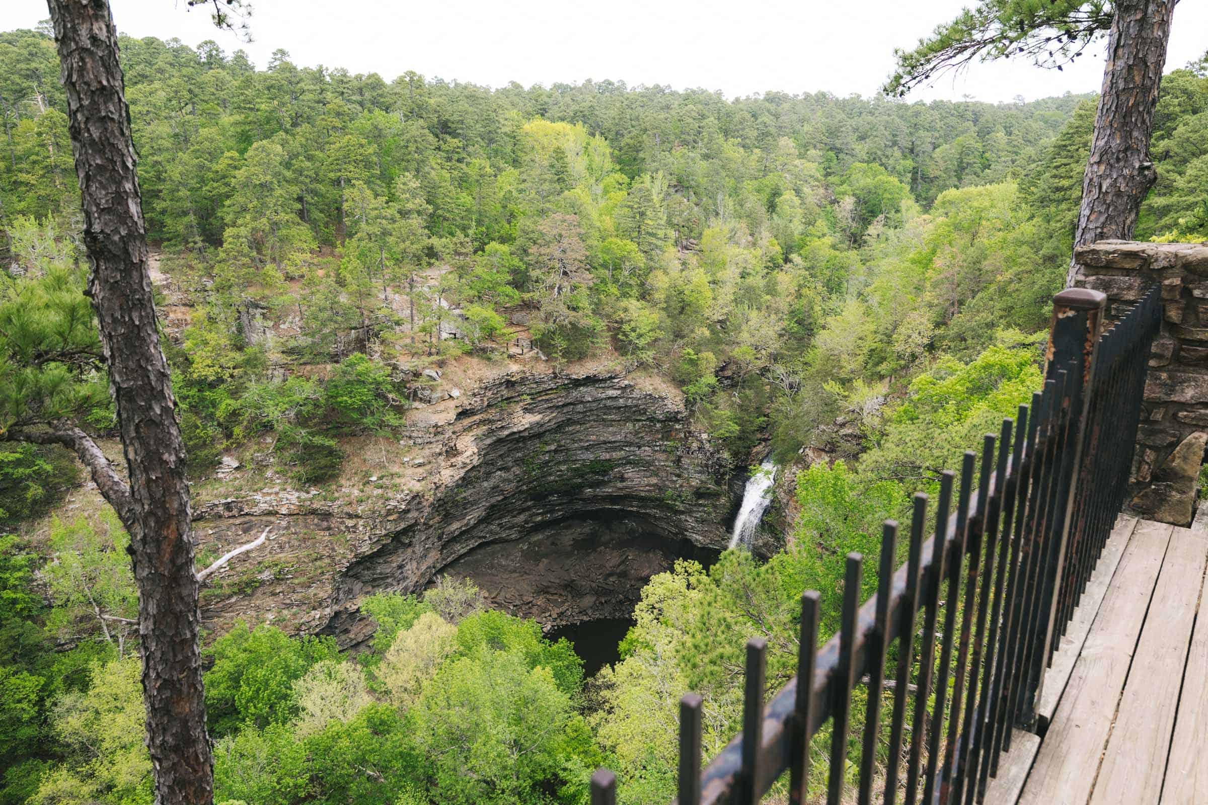 Cedar Falls Trail in Arkansas: Complete Hiking Guide 7 View from Cedar Falls Overlook in Arkansas