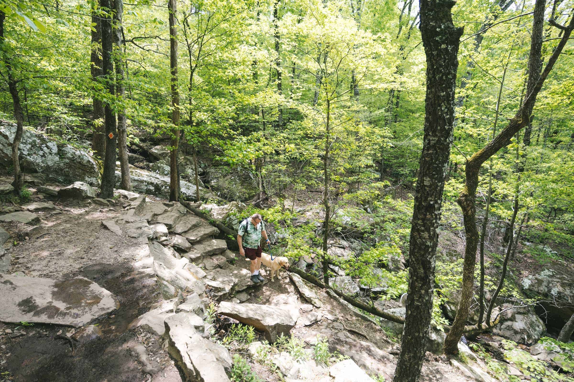 Start of Cedar Falls Trail