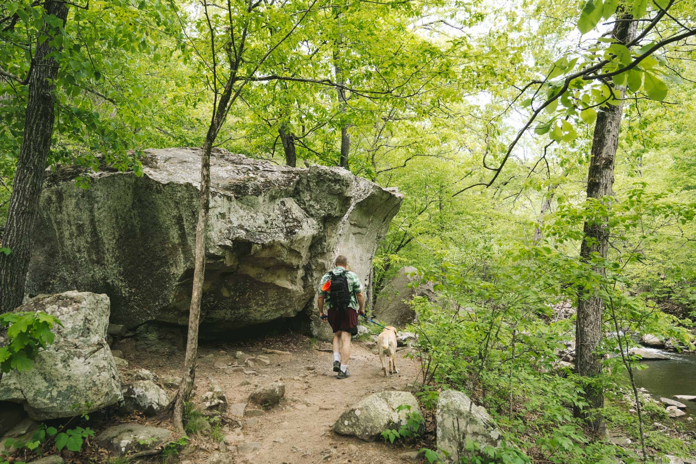 Cedar Falls Trail in Arkansas: Complete Hiking Guide 5 Boulders on Cedar Falls Trail