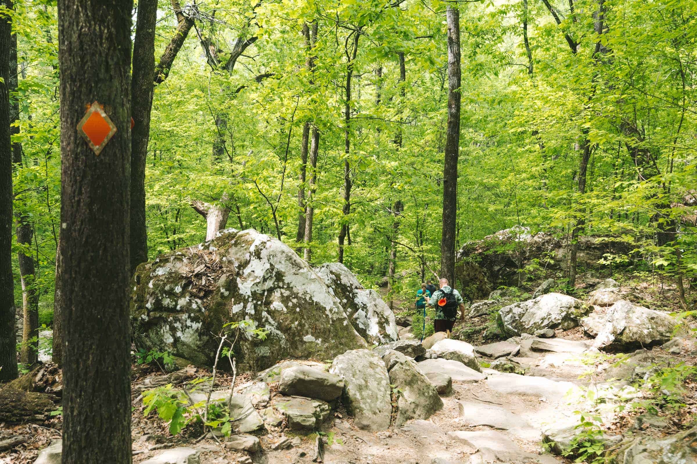 Cedar Falls Trail in Arkansas: Complete Hiking Guide 24 Cedar Falls Trail condition