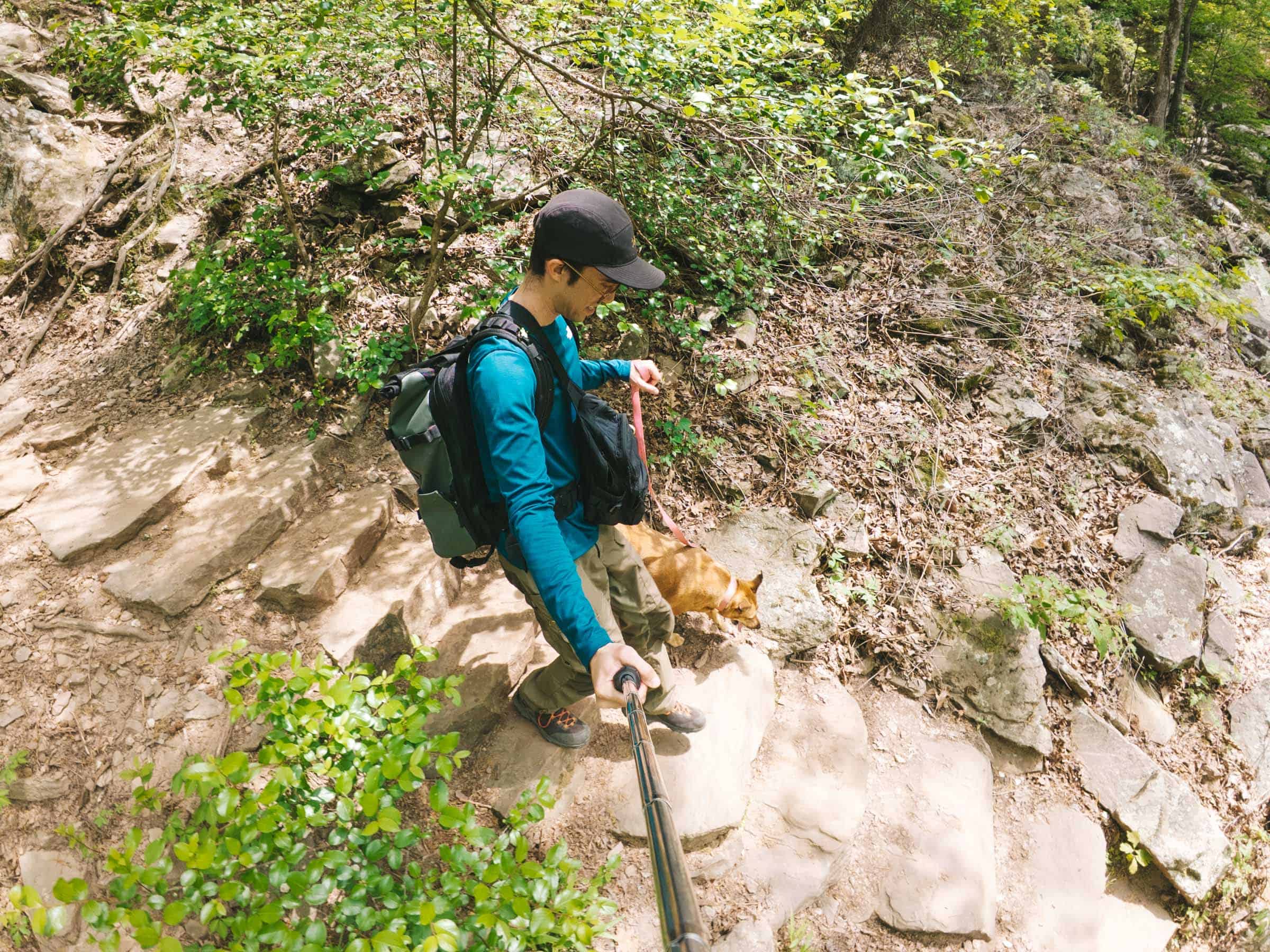 Cedar Falls Trail in Arkansas: Complete Hiking Guide 12 Downhill rocks at Cedar Falls Trail