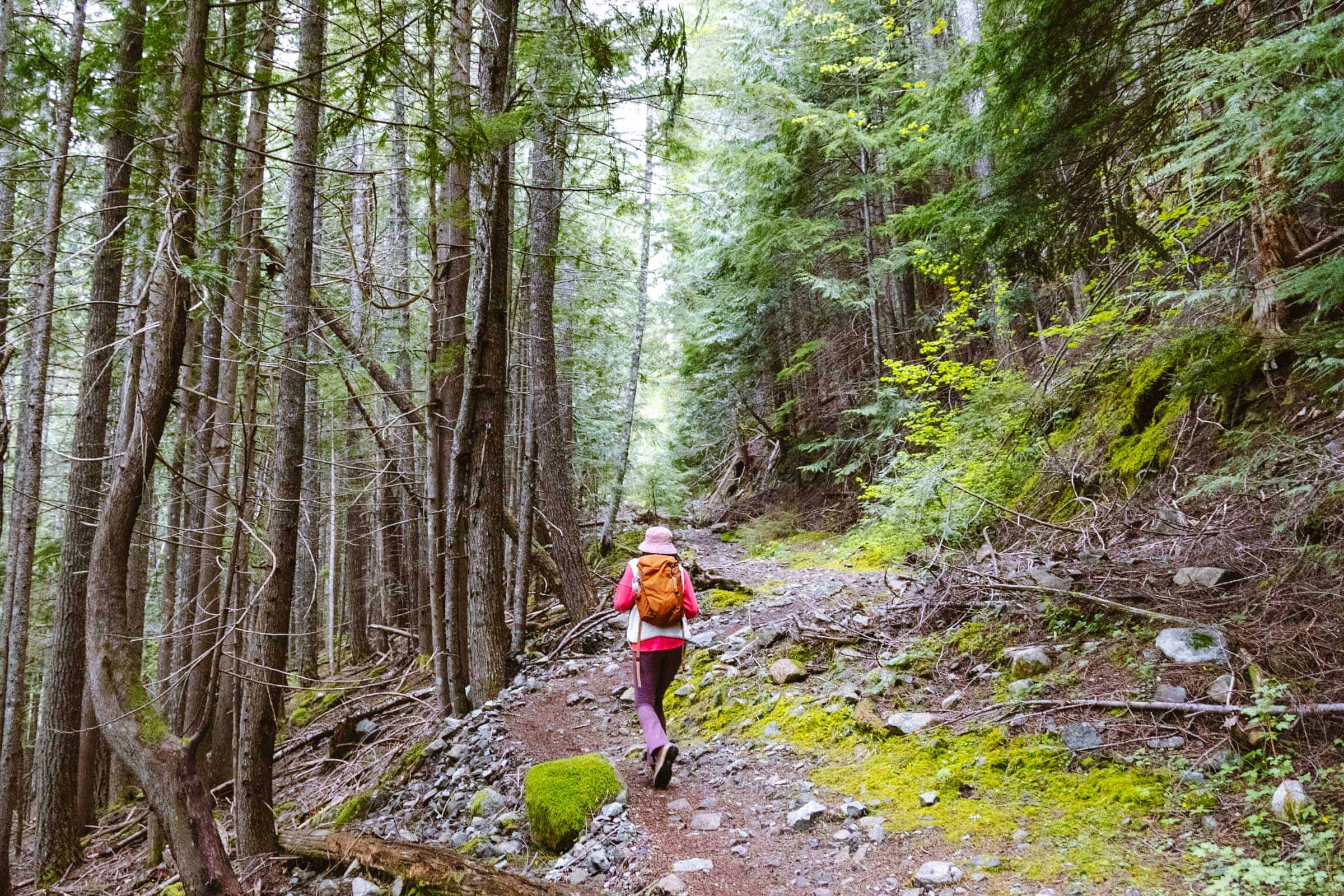 Dirty Harry's Balcony: Complete Hiking Guide 48 Dirty Harry's peak trail