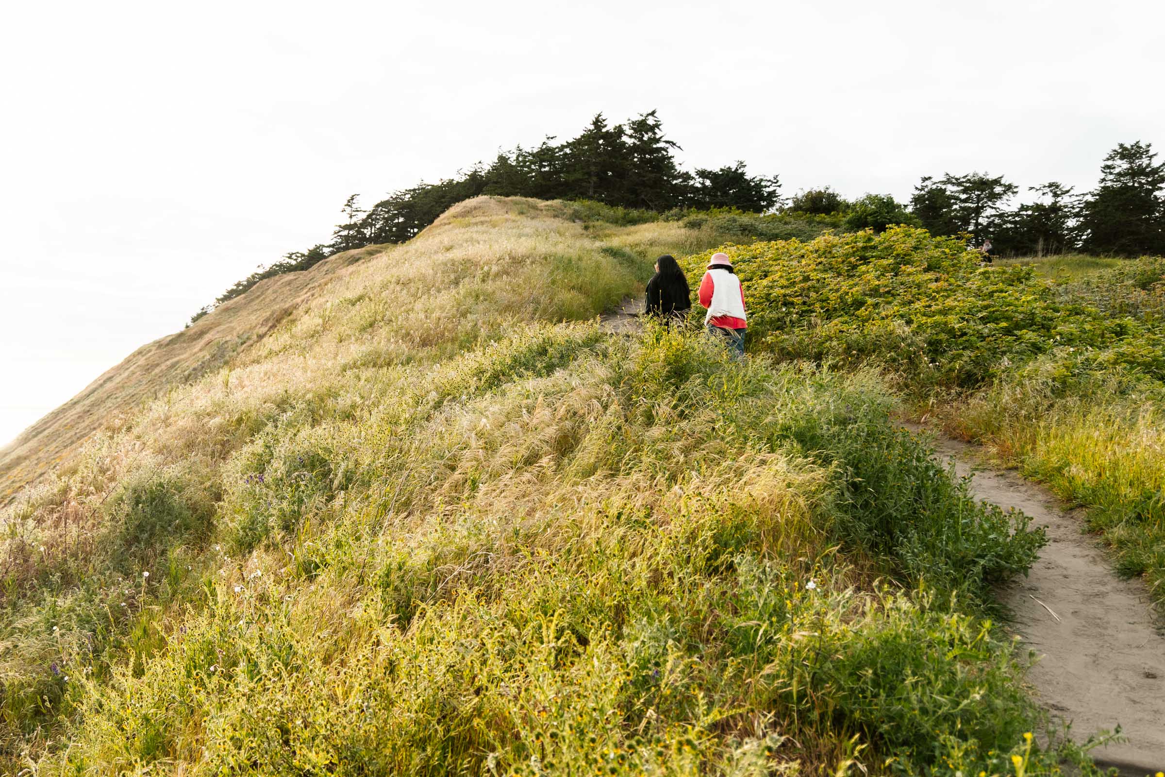 Ebey's Landing bluff trail