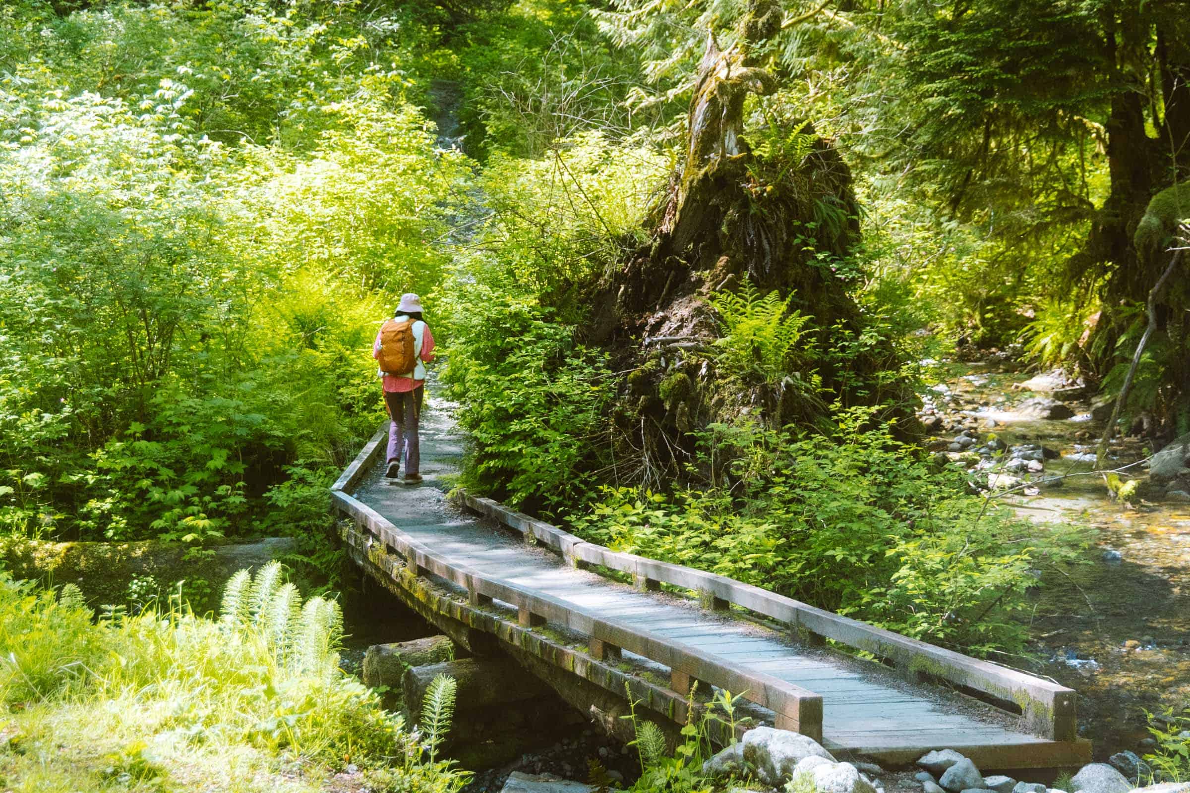 First wooden bridge on Bridal Veil Falls trail